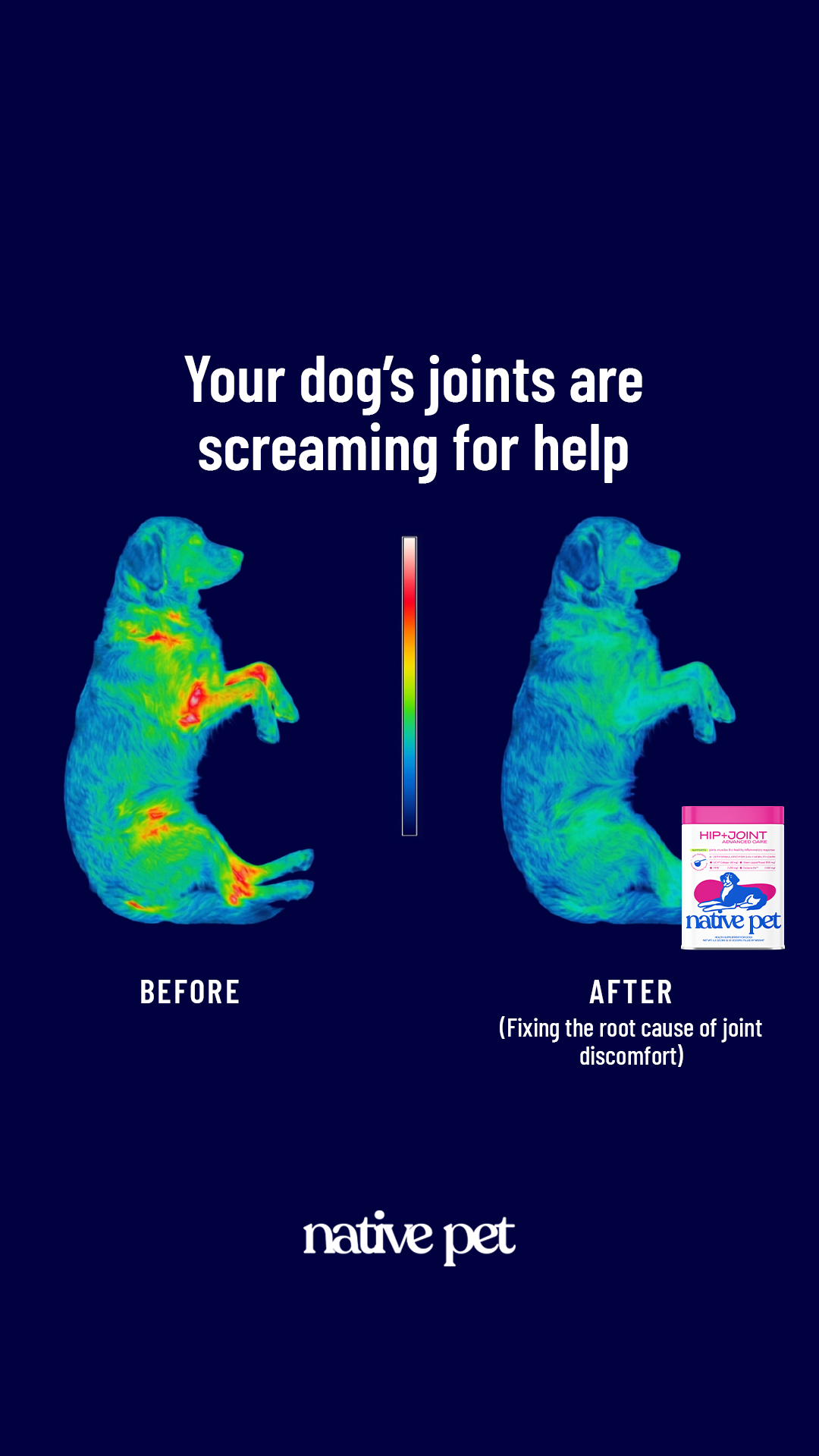 k9healthdaily Facebook ad from Mar 19, 2026