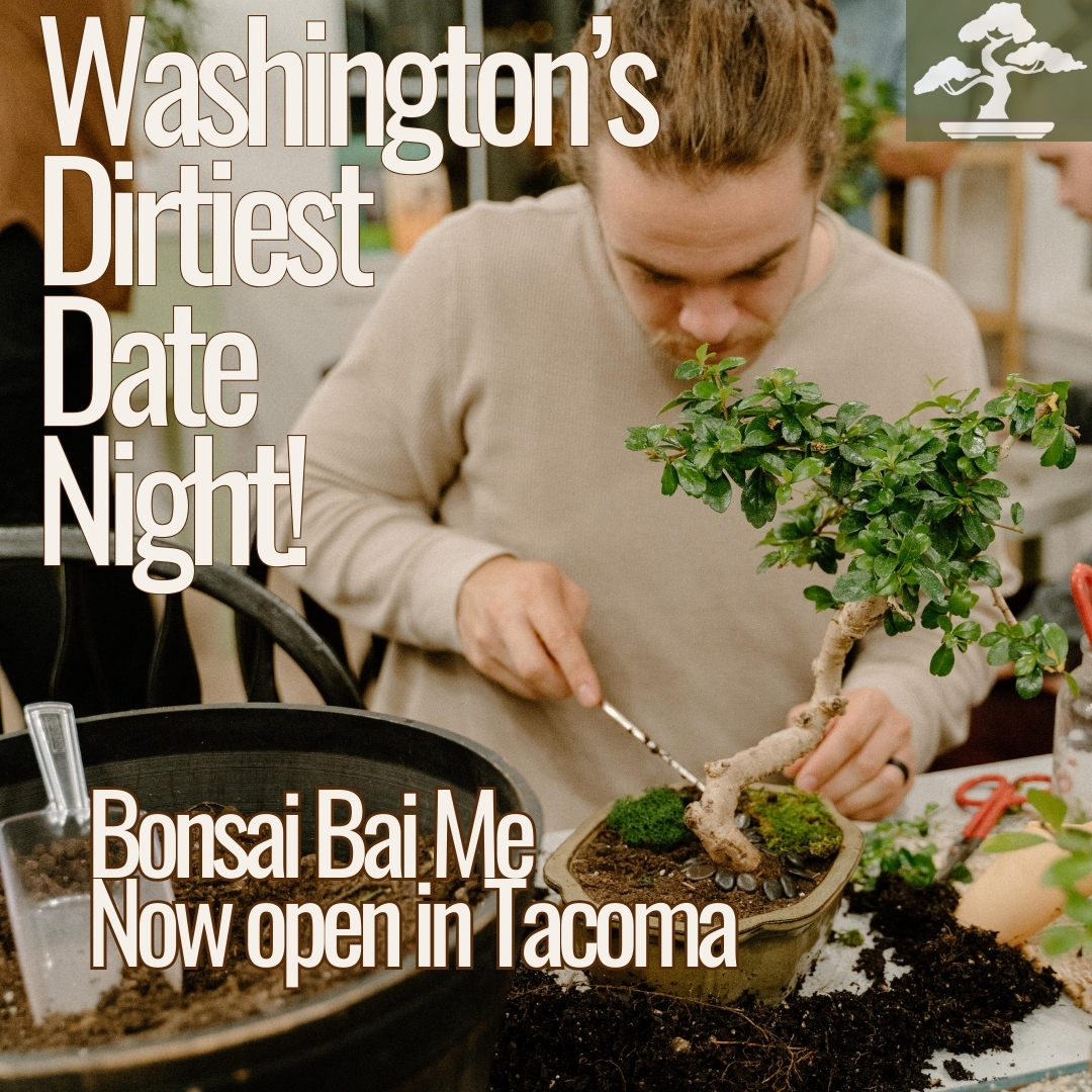 Bonsai Bai Me Facebook ad: Washington’s date night options just got better.