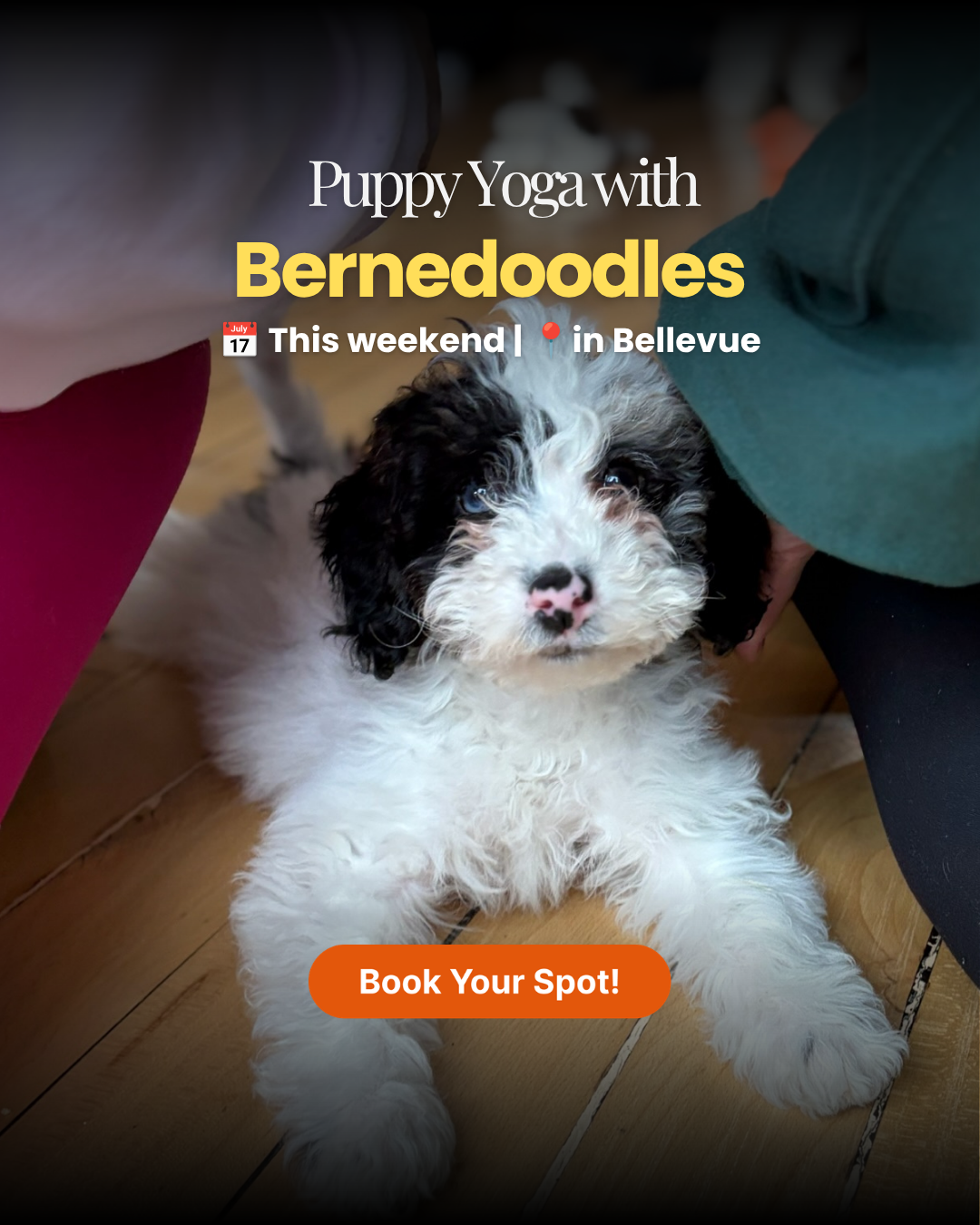 Puppy Yoga Club Facebook ad