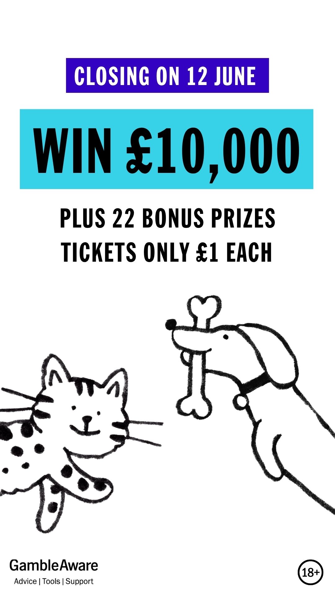 Battersea Facebook ad