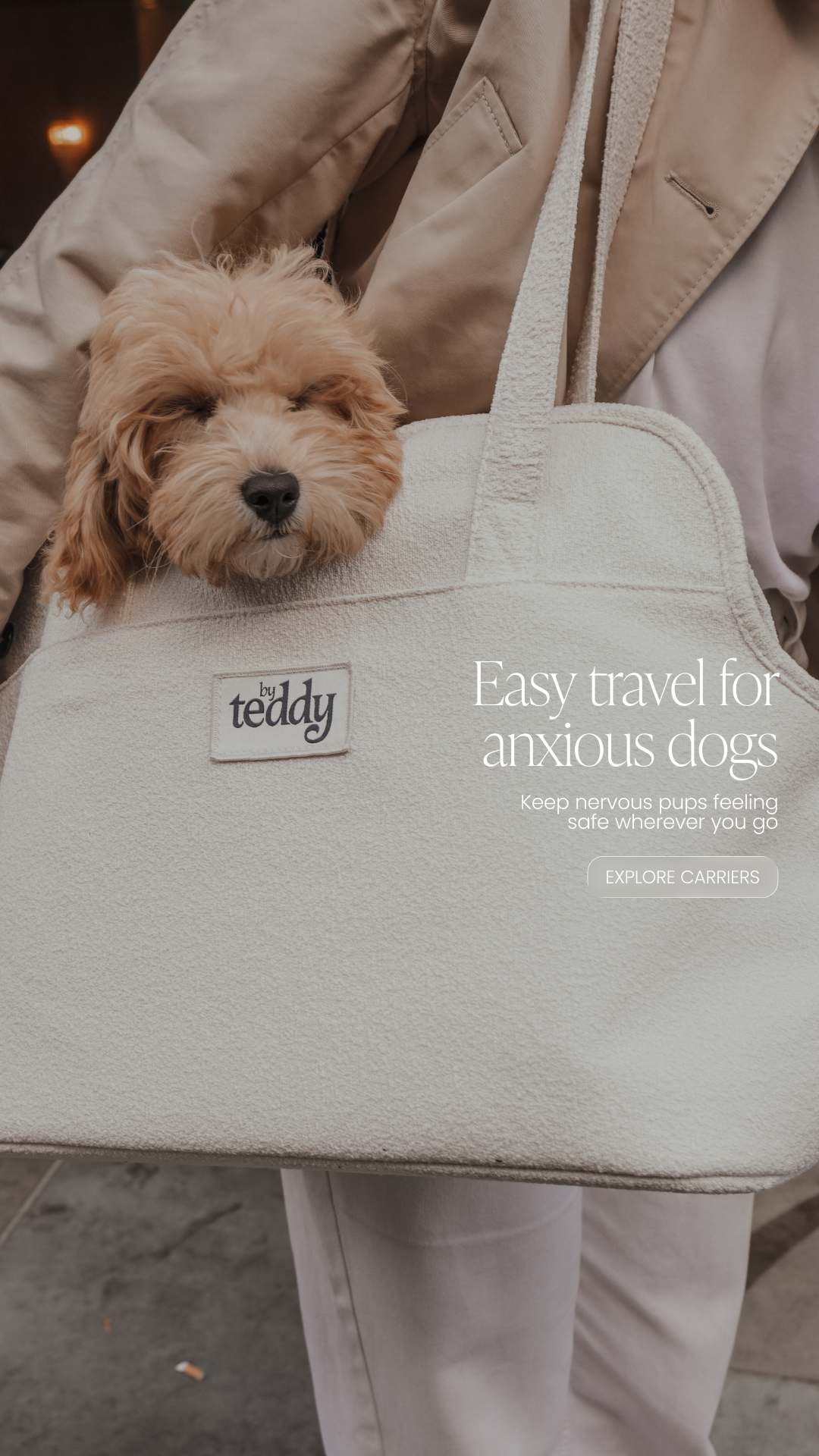 By Teddy Facebook ad