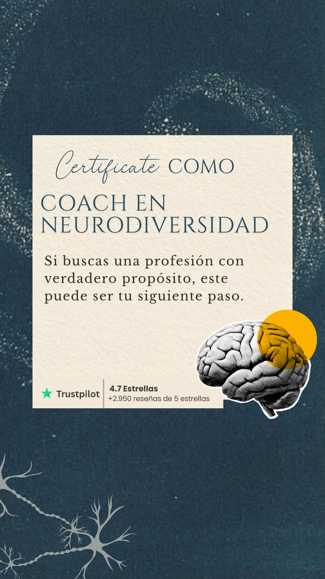 Efficient Coach Facebook ad