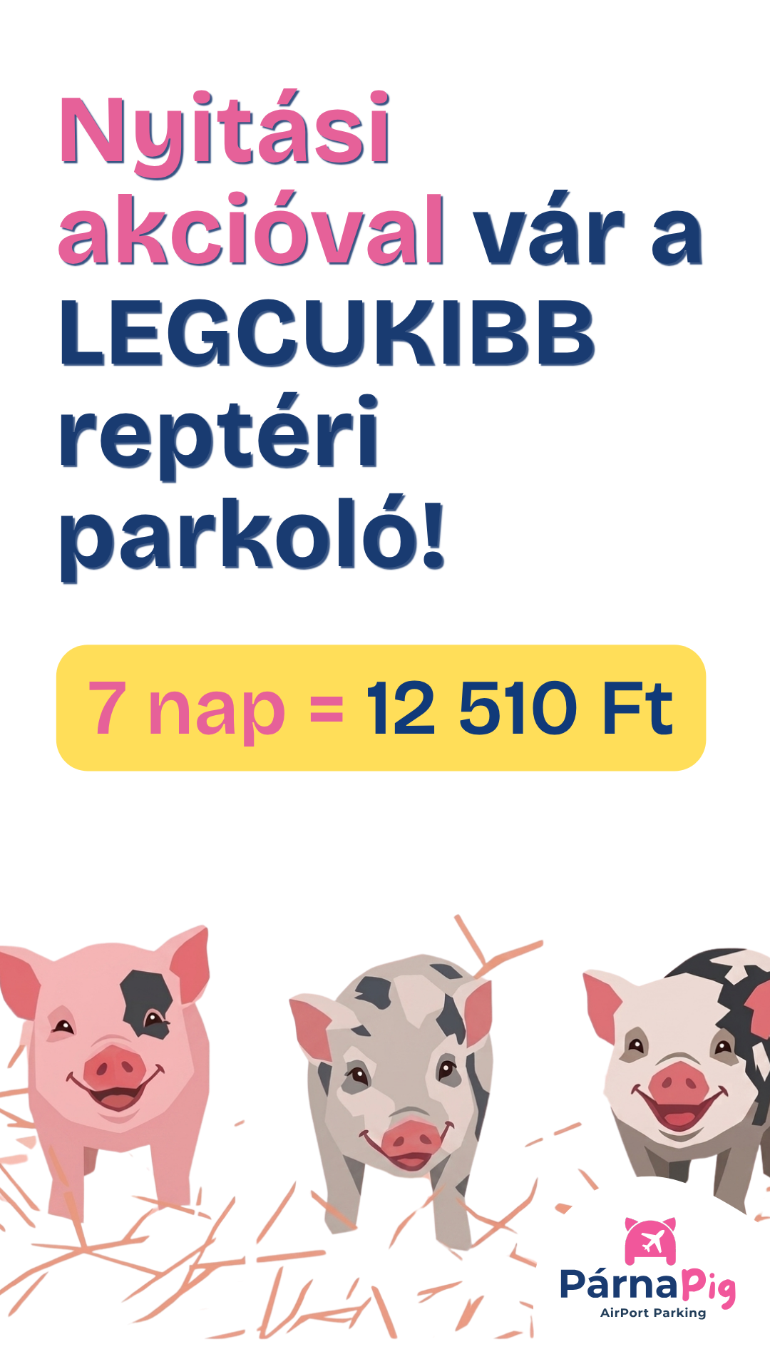 PárnaPig AirPort Parking Facebook ad from Aug 14, 2026