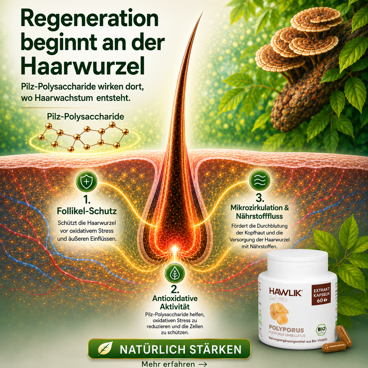 HAWLIK Gesundheitsprodukte Facebook ad from May 27, 2026