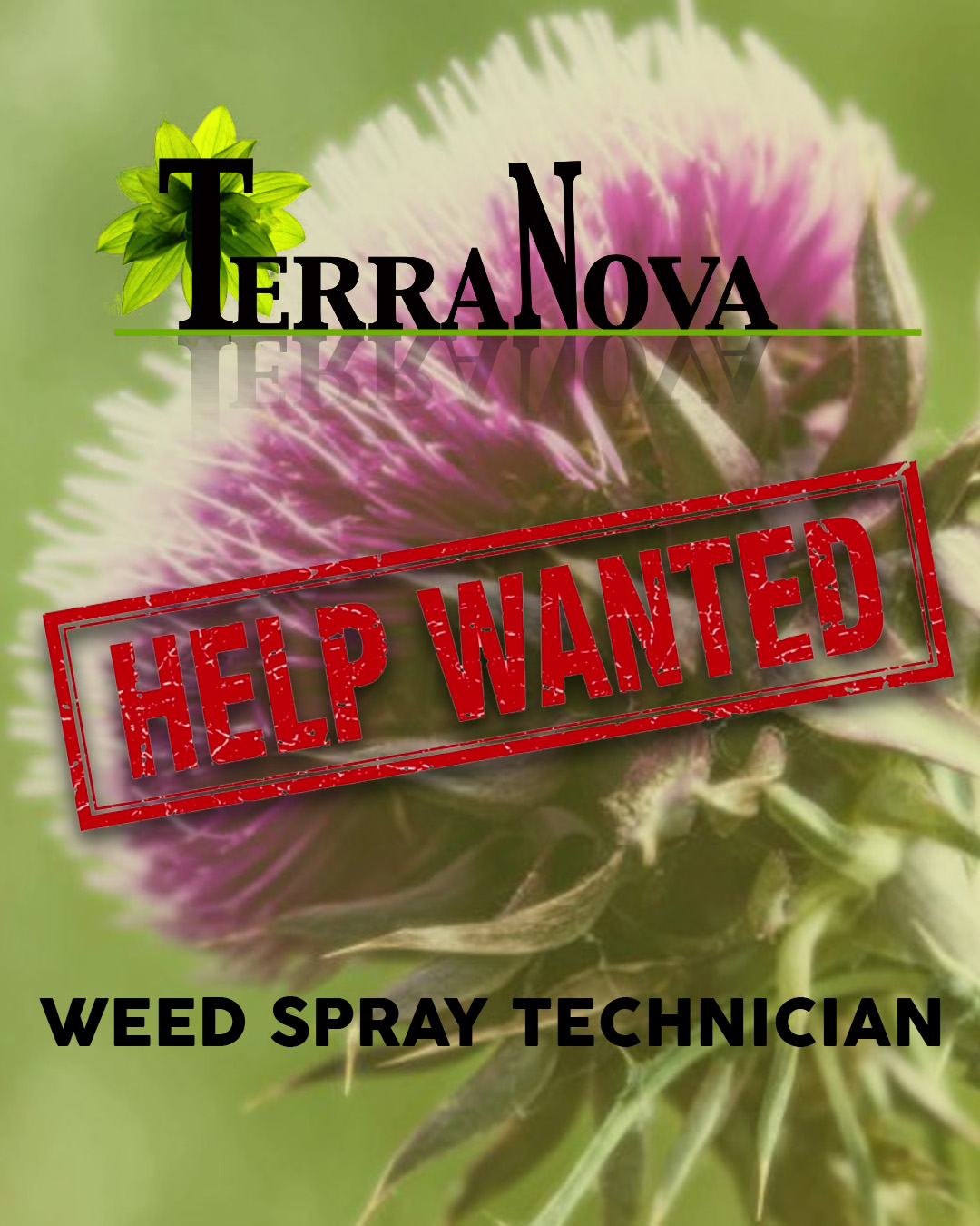 TerraNova LLC Facebook ad: NOW HIRING - Weed Spraying | Weed Control | TerraNova LLC…