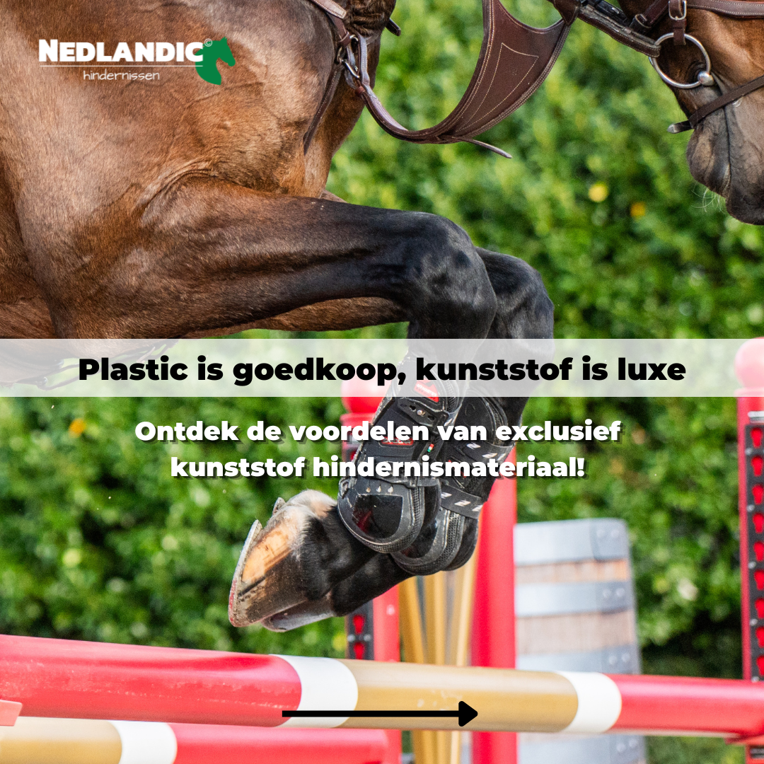 Nedlandic Quality Horse Supplies Facebook ad