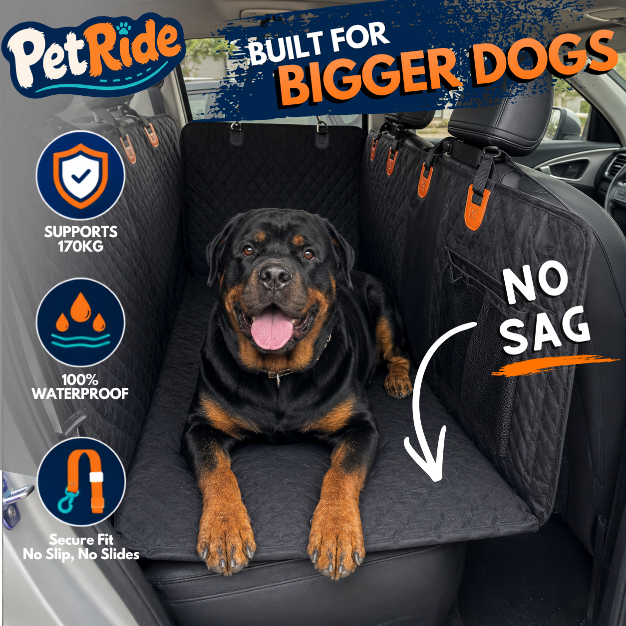 Pet Ride Facebook ad