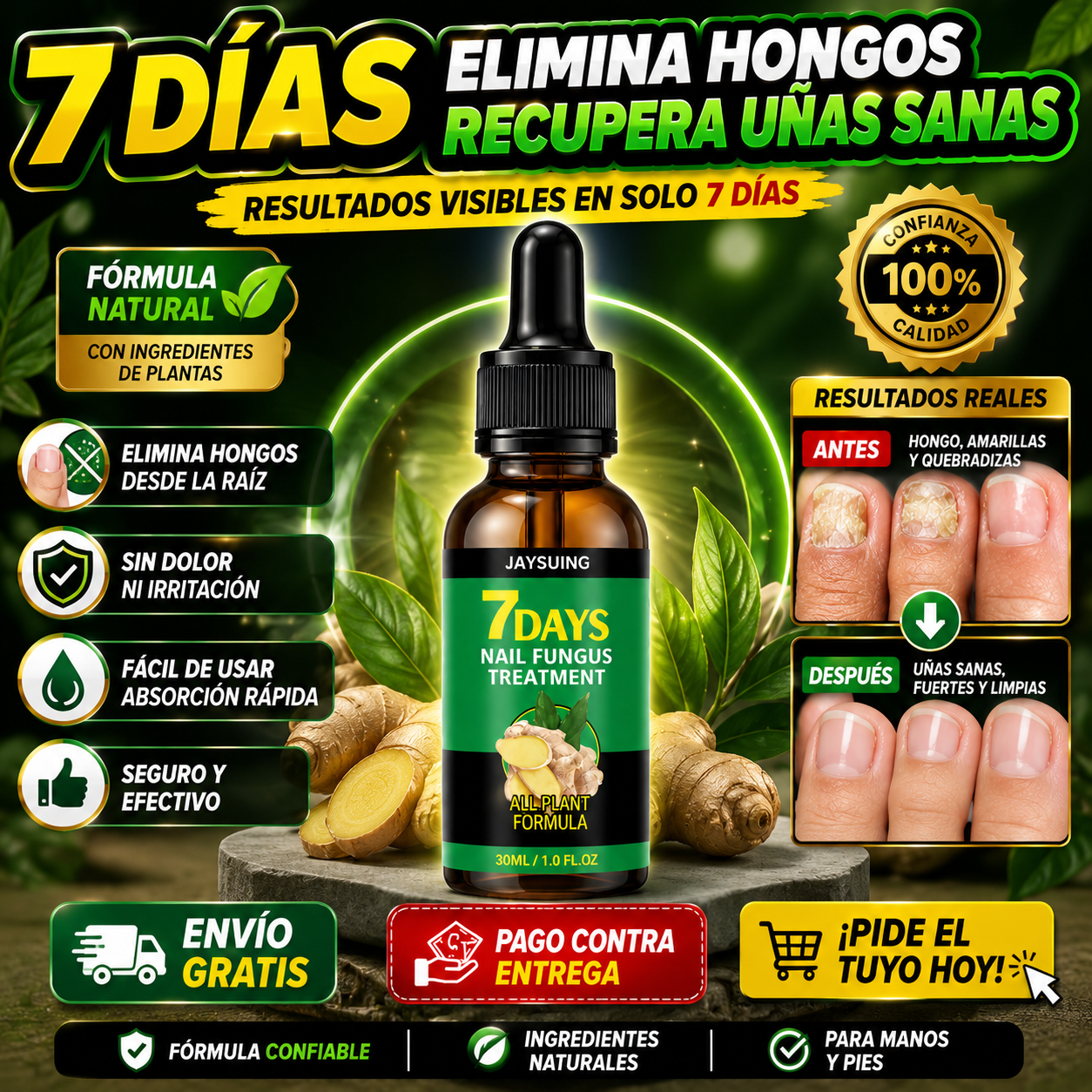 Ruedix Facebook ad