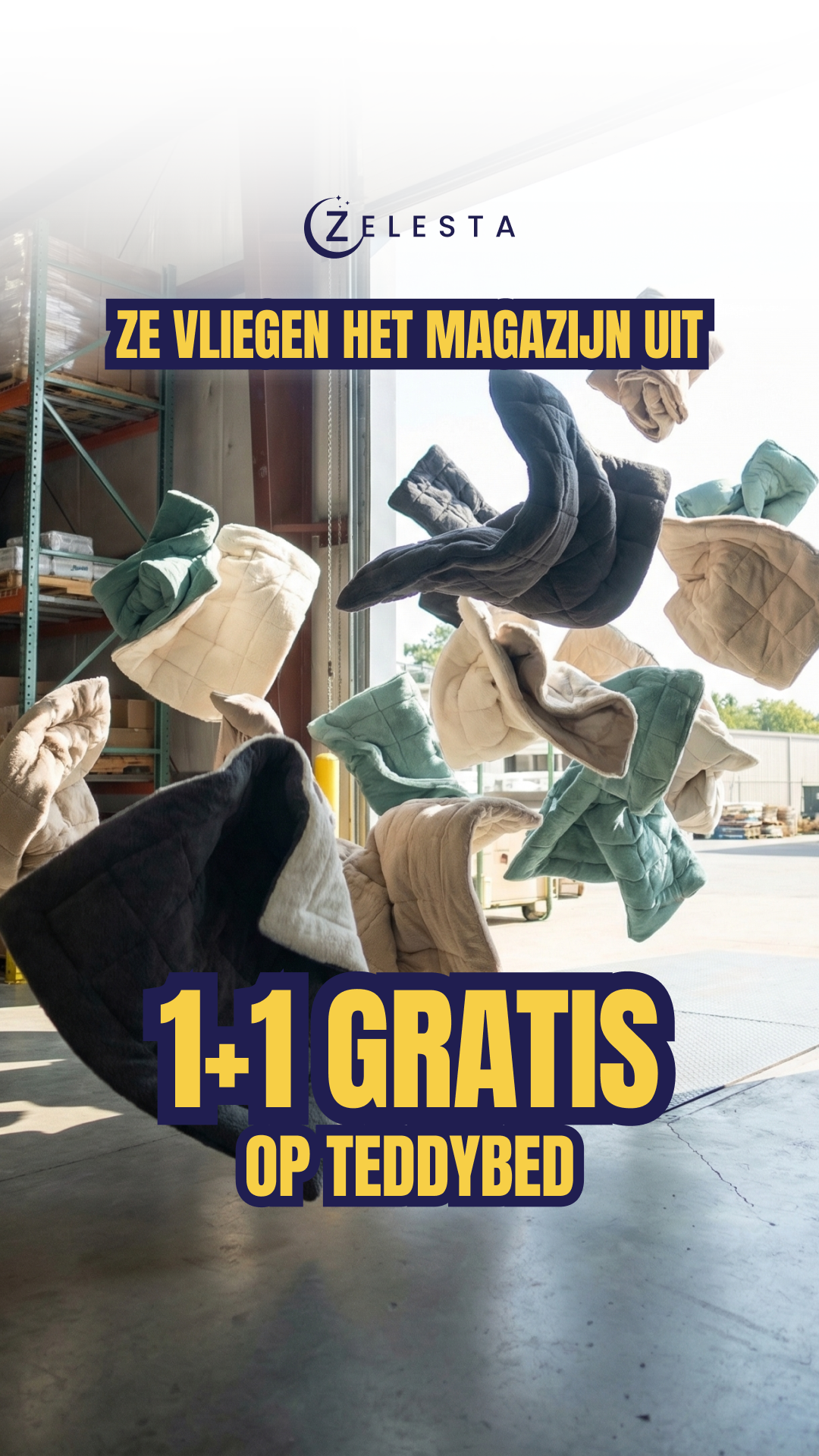 Zelesta.nl Facebook ad