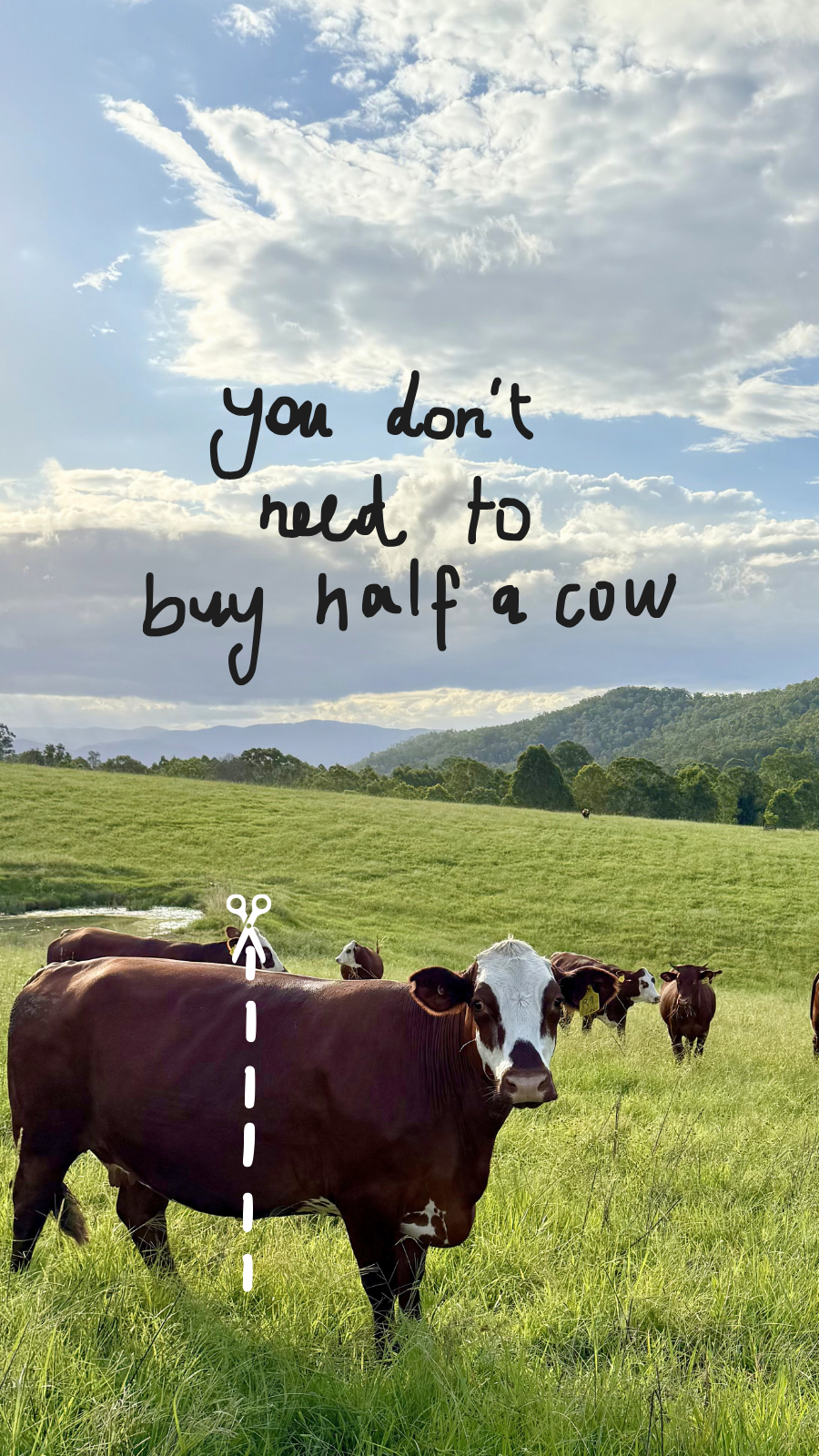 Our Cow Facebook ad