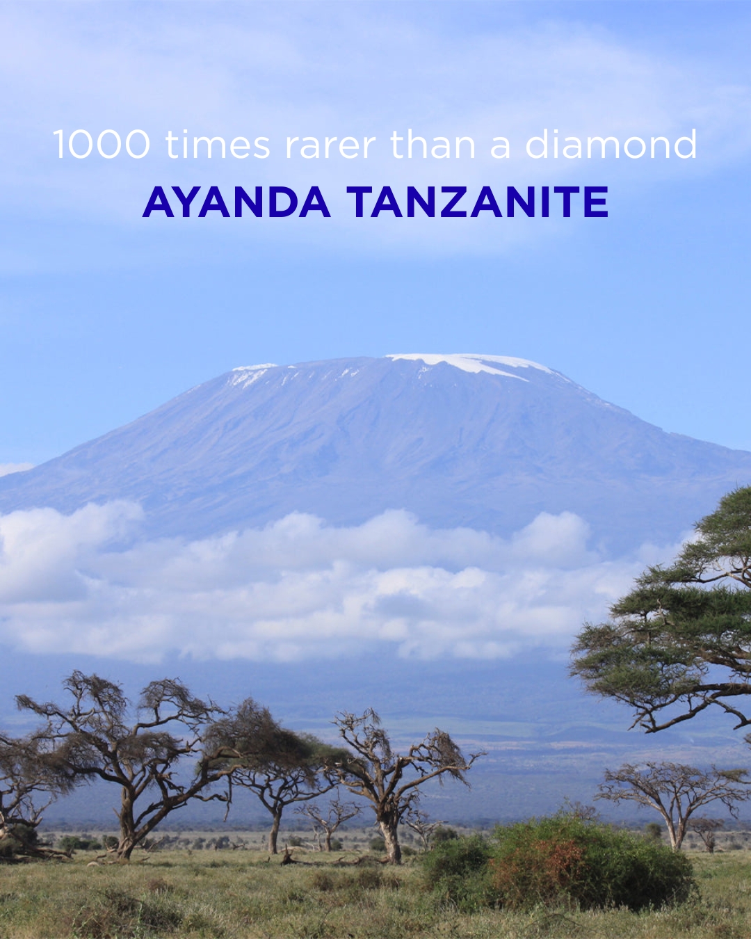 Shimansky South Africa Facebook ad: Ayanda Tanzanite: 1000 Times Rarer Than a Diamond
