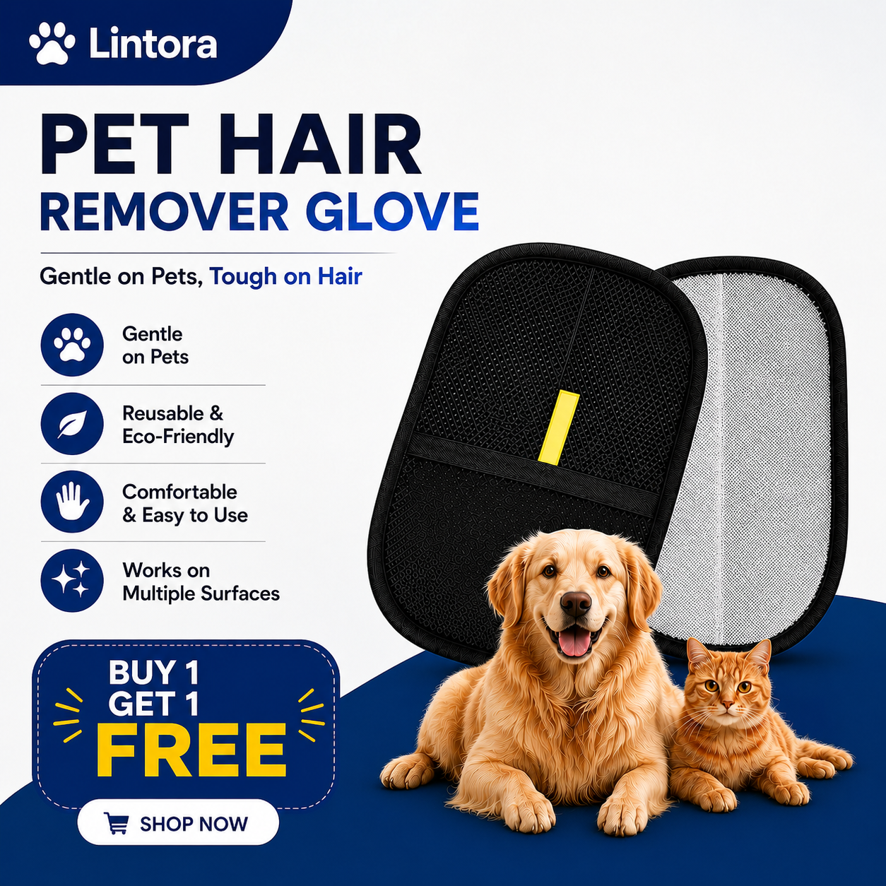 Lintorapet Facebook ad: You clean your couch…