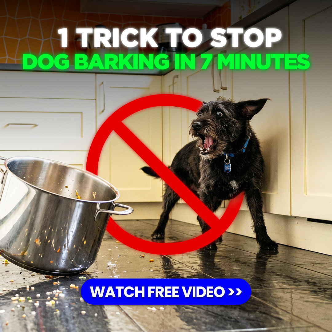 Mike James Dog Training Facebook ad