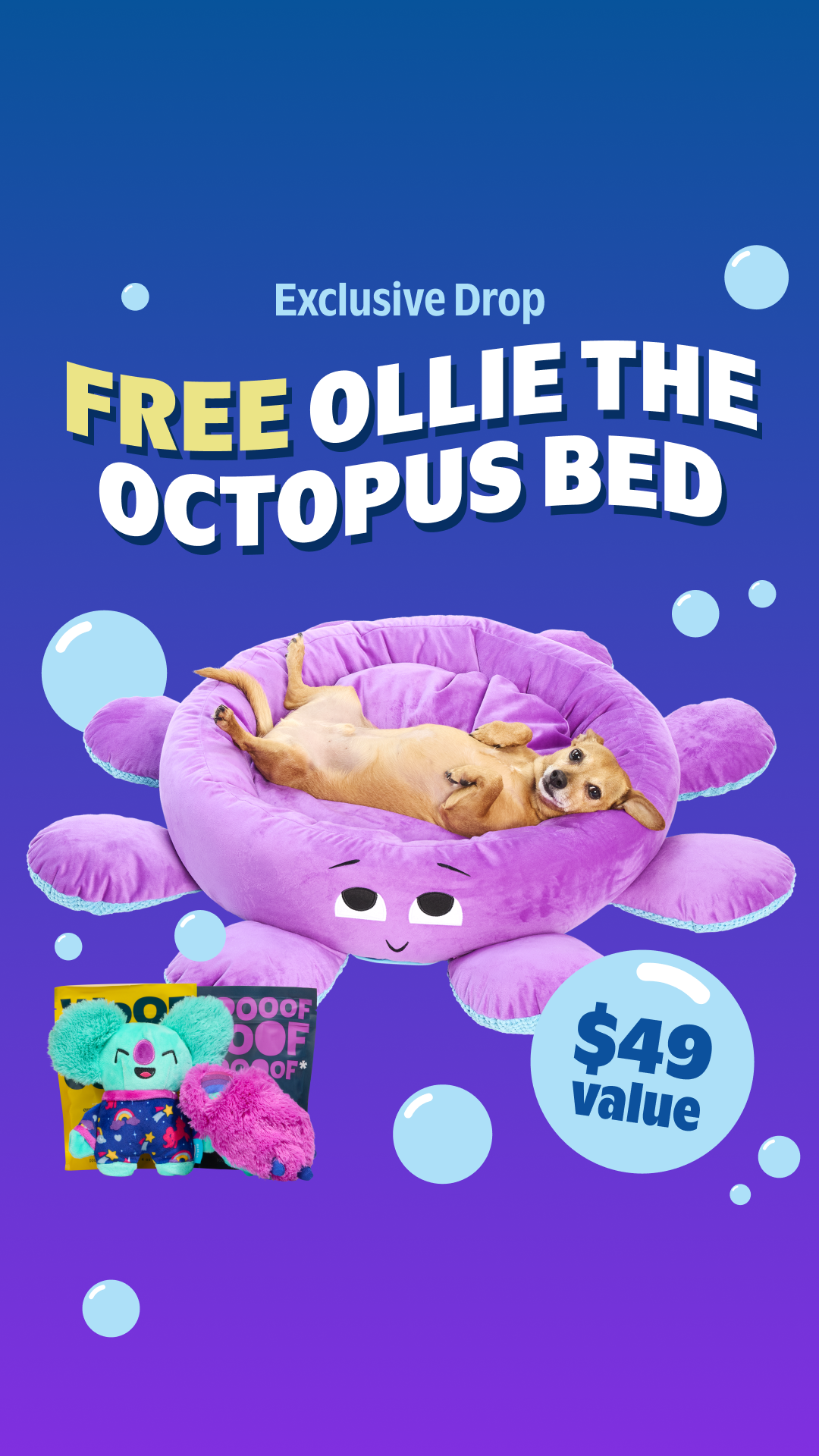BarkBox Facebook ad