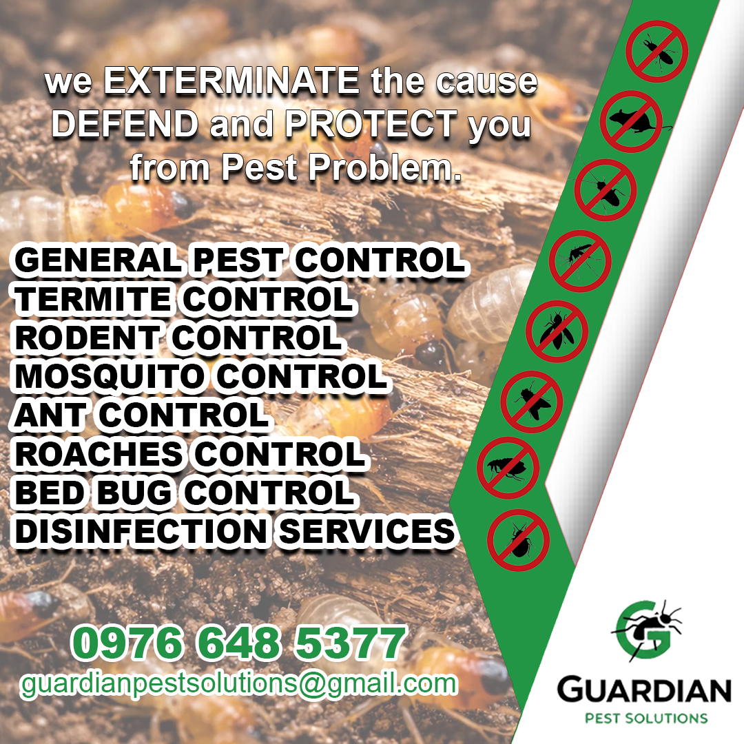 Guardian Pest Solutions Facebook ad