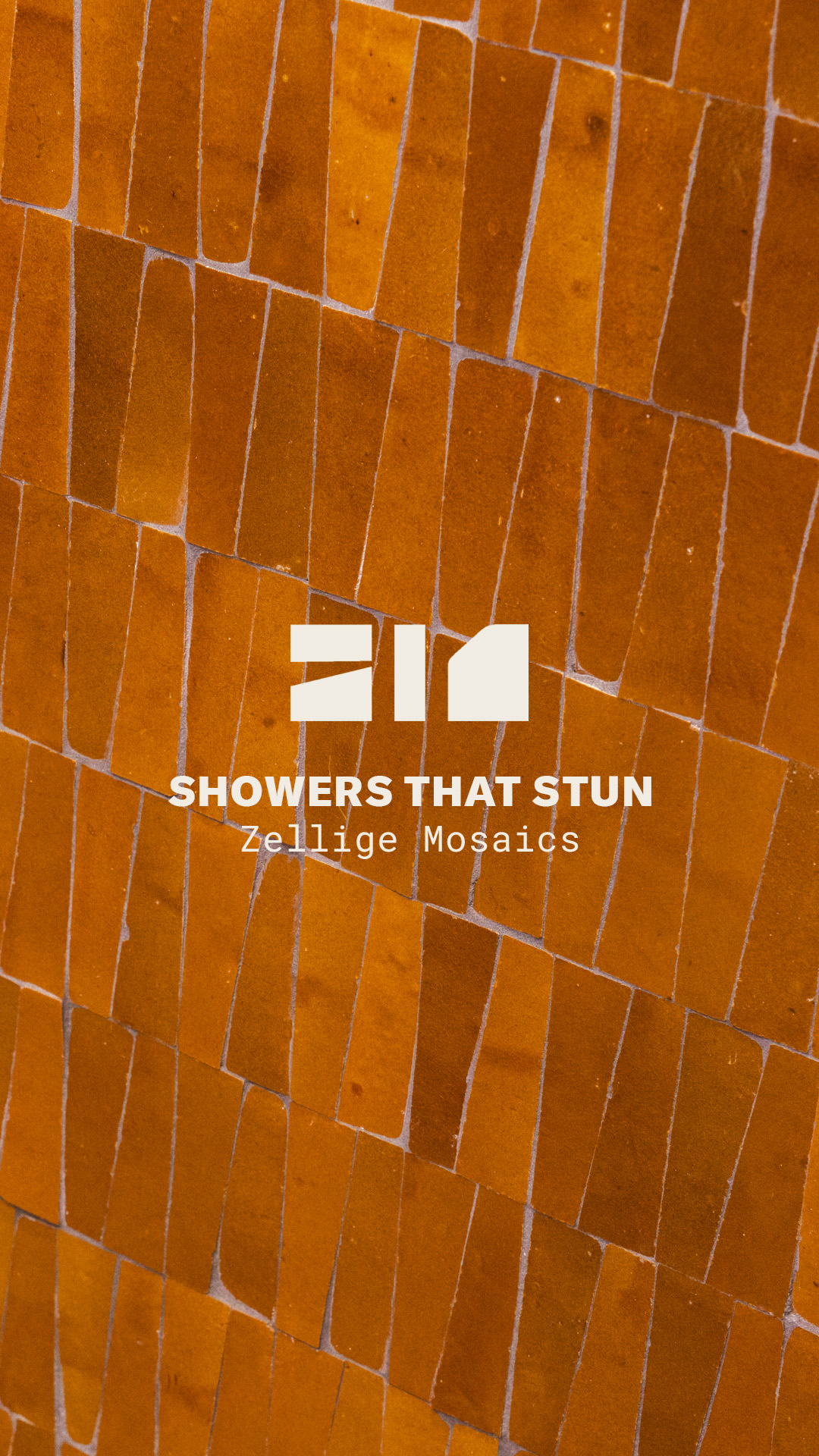 Zia Tile Facebook ad from Mar 20, 2026