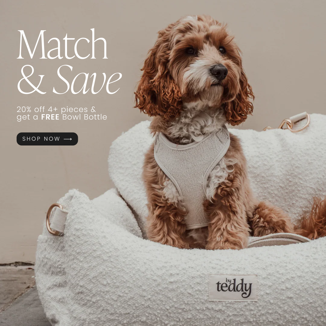 By Teddy Facebook ad