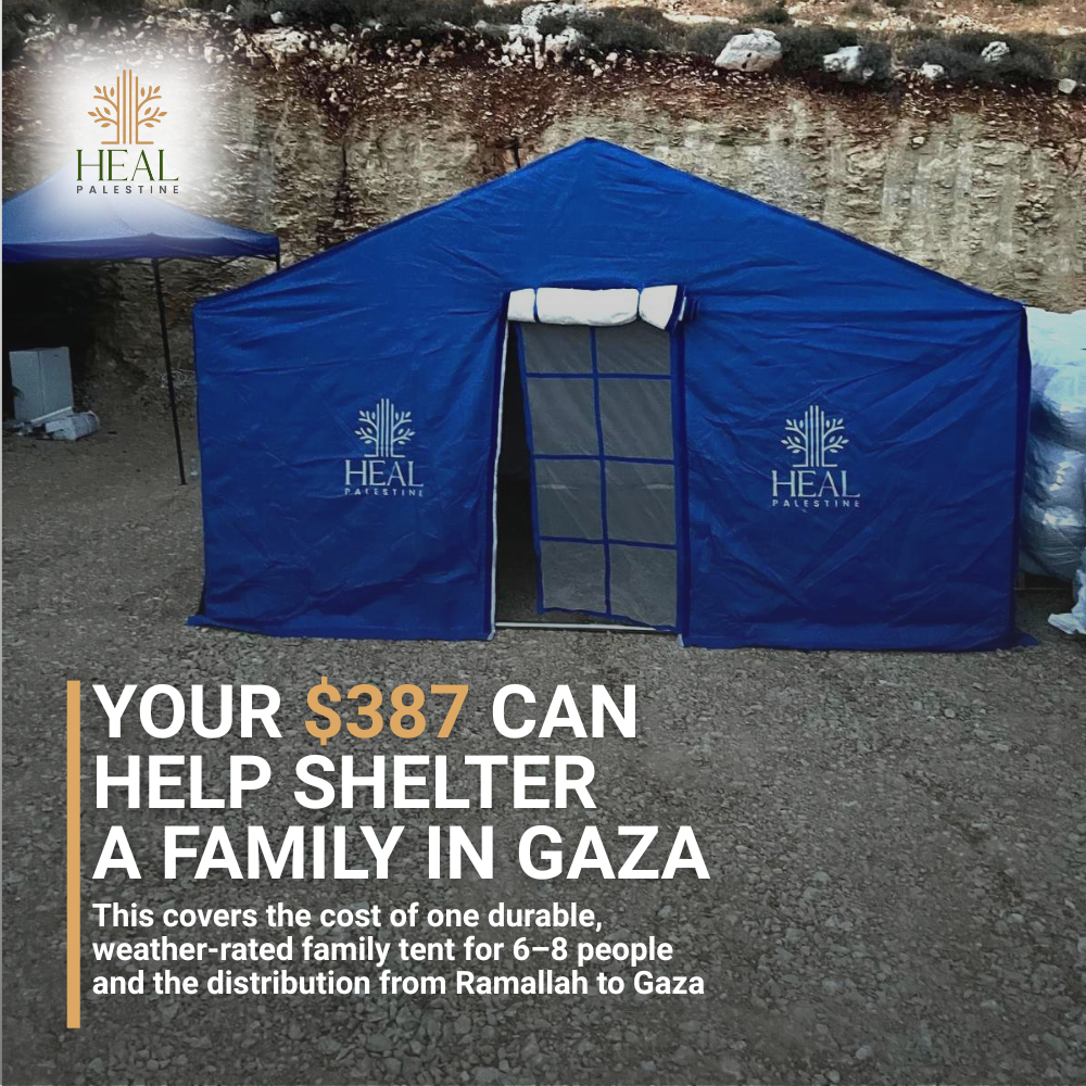 HEAL Palestine Facebook ad from Nov 8, 2025