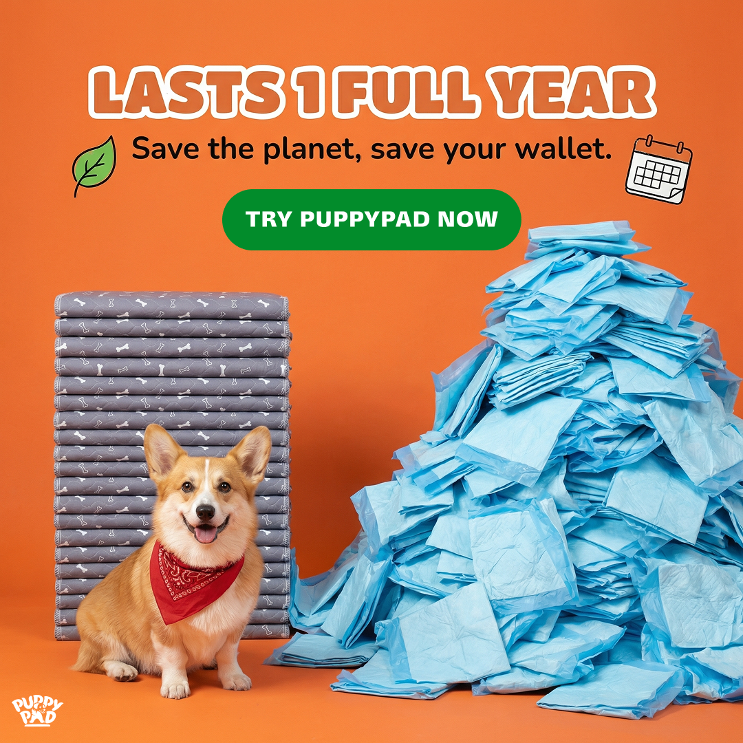 PuppyPad Facebook ad