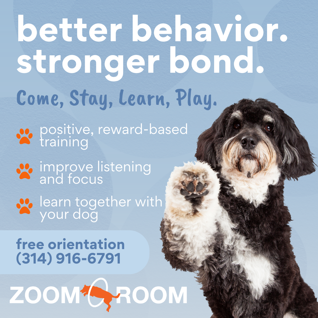 Zoom Room Dog Training Facebook ad