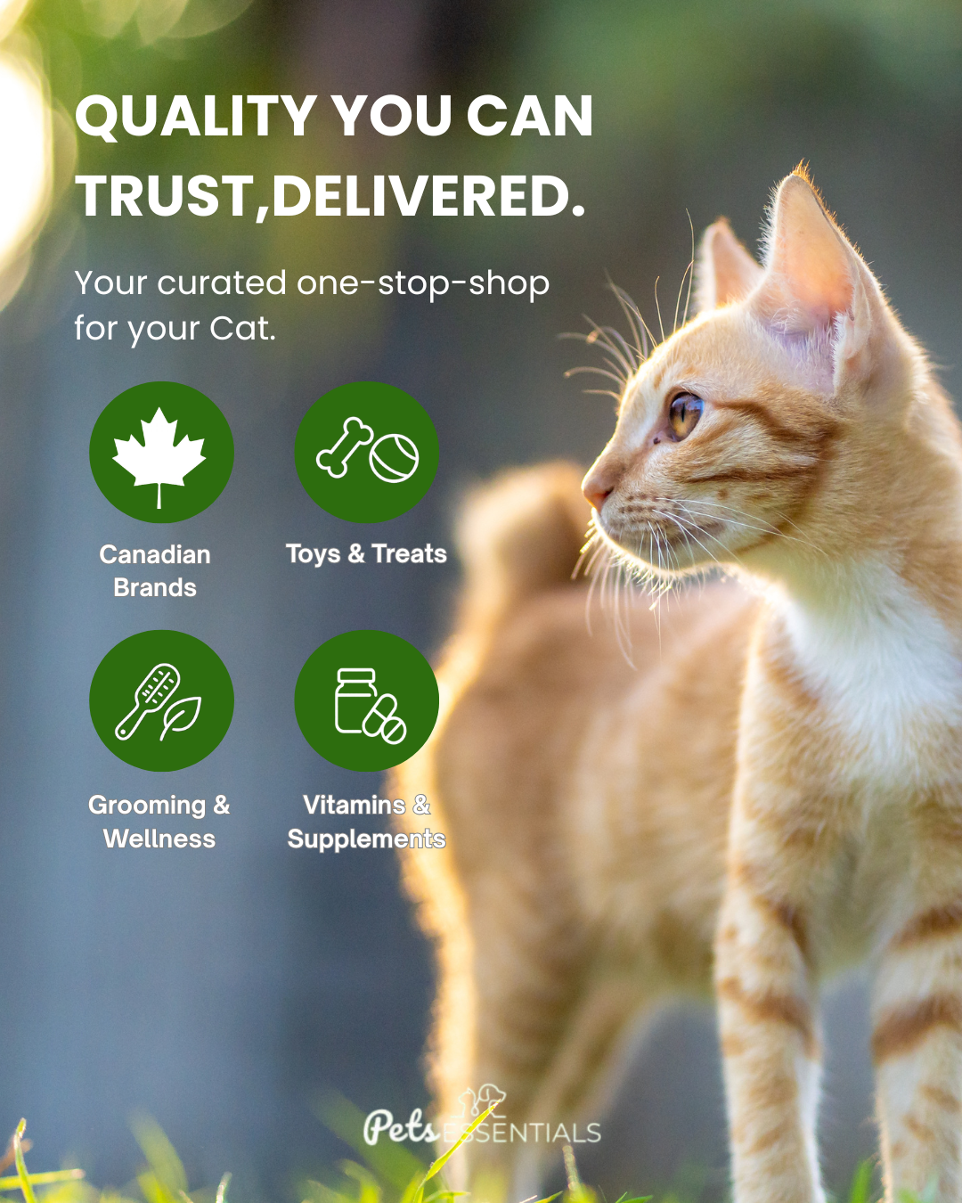 Pets Essentials Facebook ad