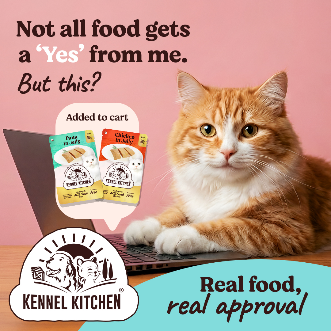 Kennel Kitchen Facebook ad
