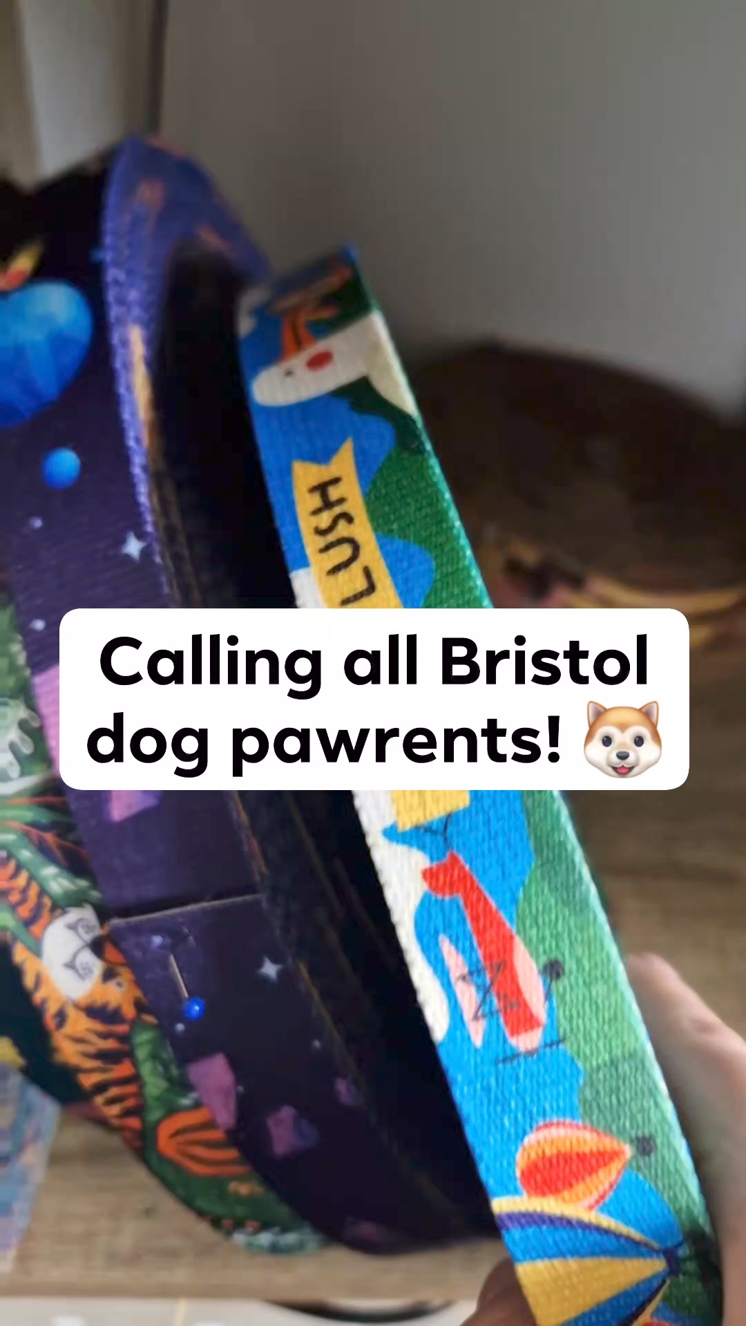 Mind The Fluff - Handmade dog accessories Facebook ad: CELEBRATE BRISTOL WITH YOUR DOG