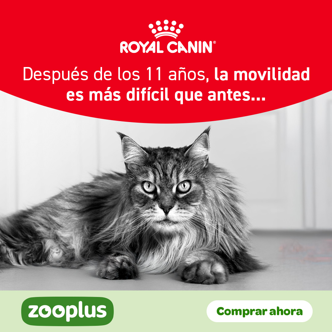 zooplus Facebook ad: La gama Royal Canin Healthy Ageing ofrece a…
