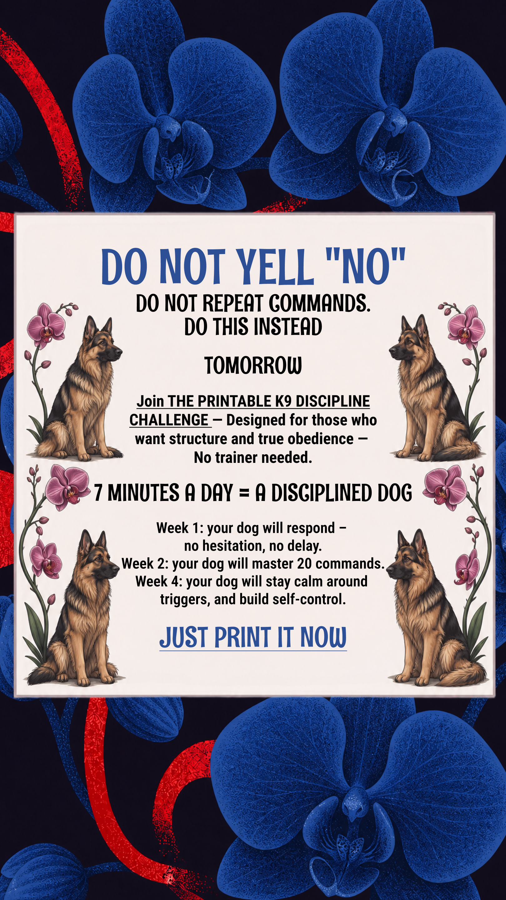 Dog Training Program Facebook ad: Take the lead. Start now