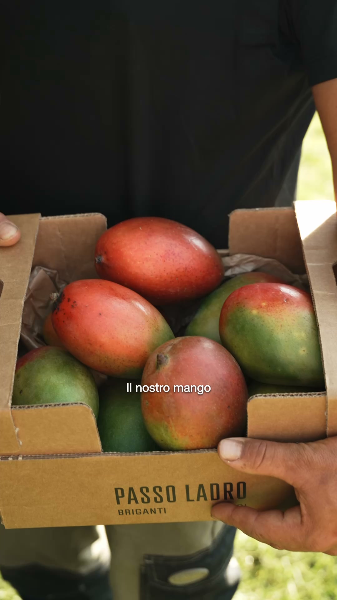 Passo Ladro Facebook ad: Mango Biologico Siciliano