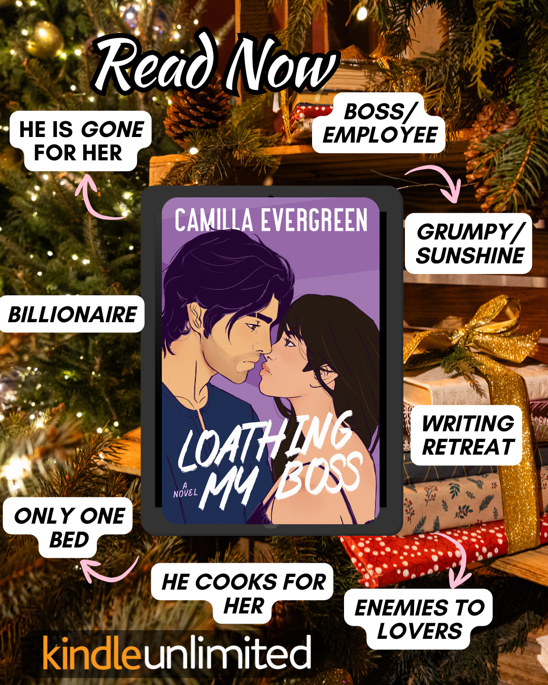 Camilla Evergreen - closed door romcom author Facebook ad: I couldn't put this down!