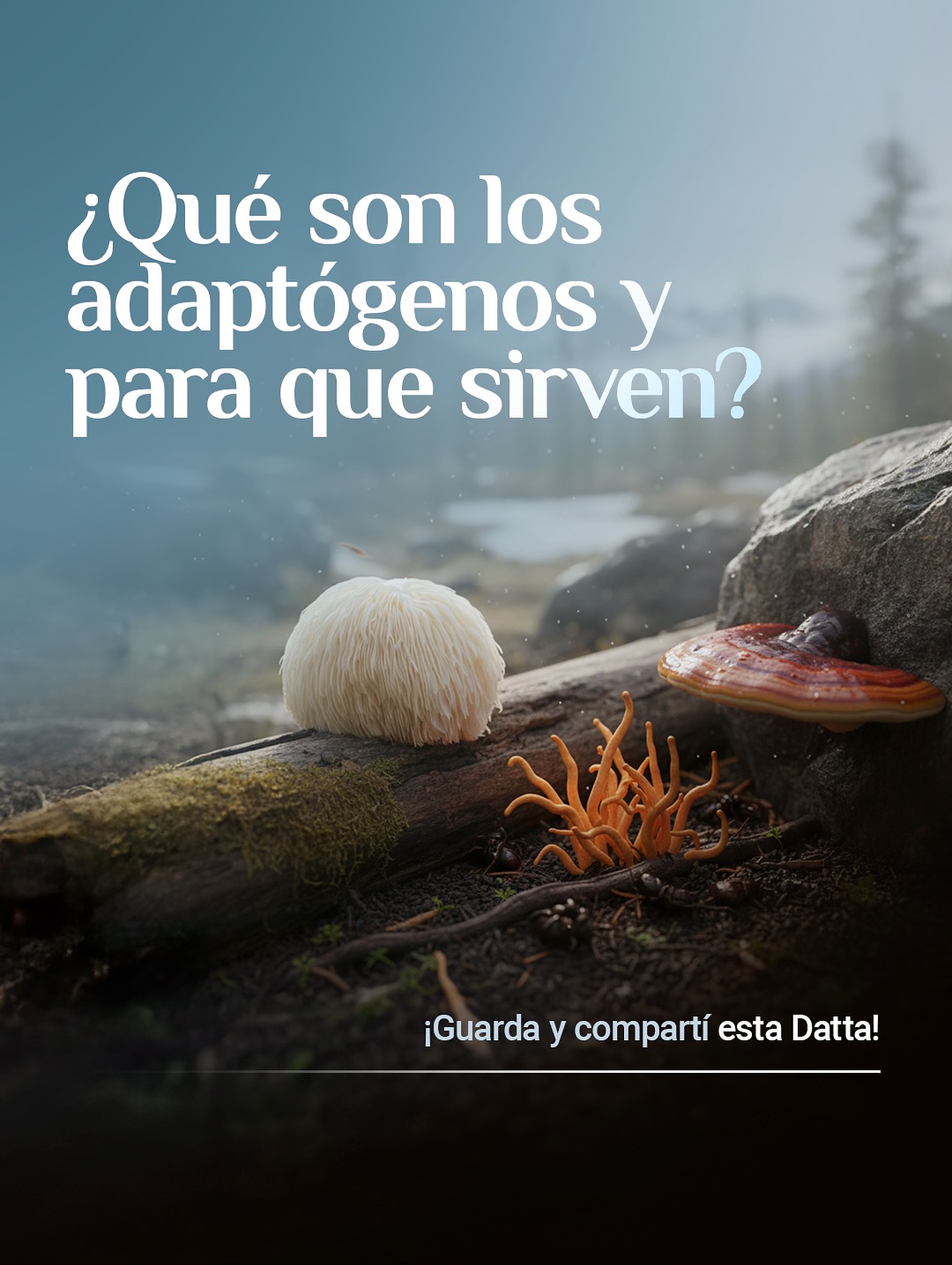 Dattaverde Facebook ad