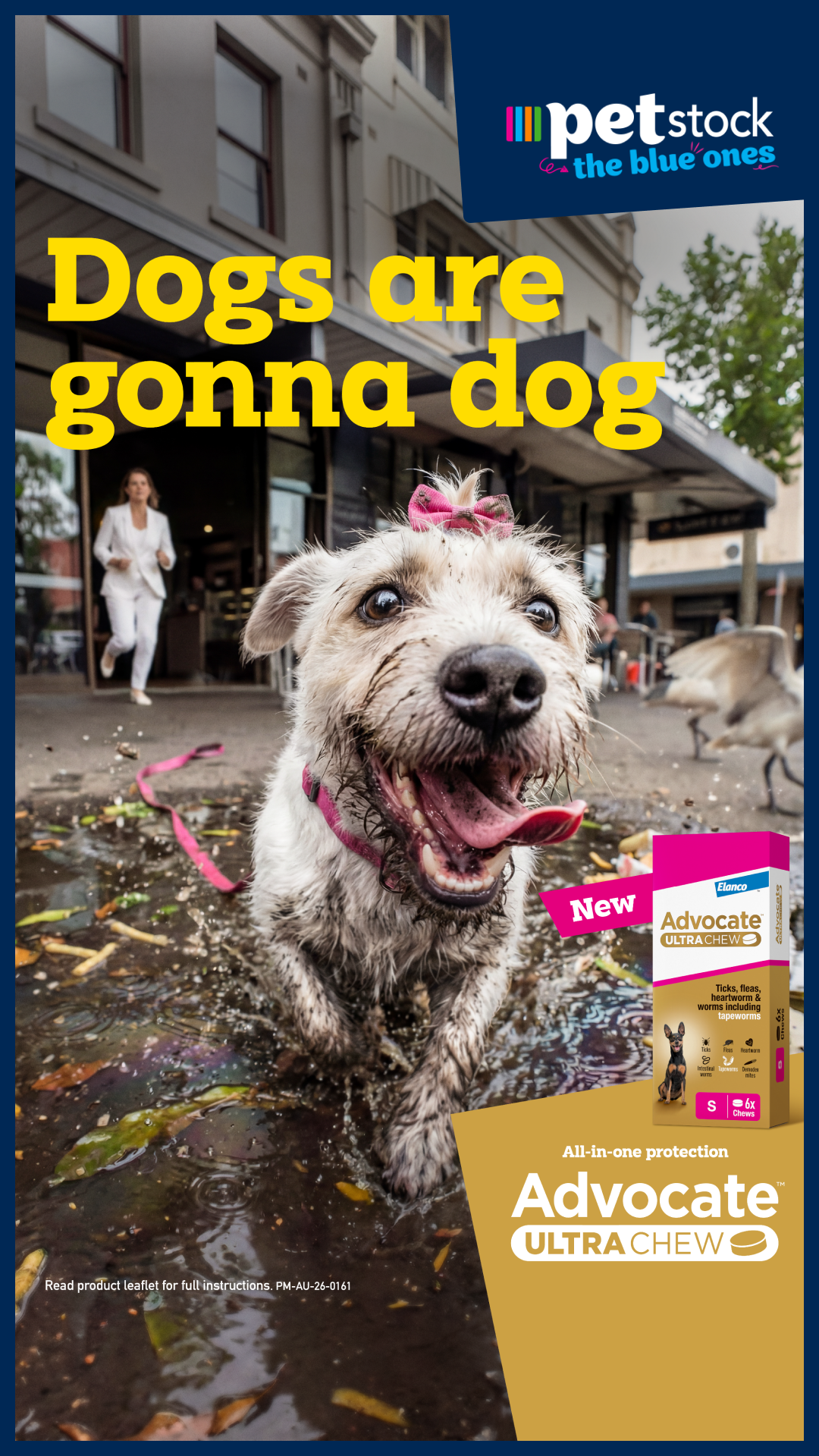 Petstock Facebook ad