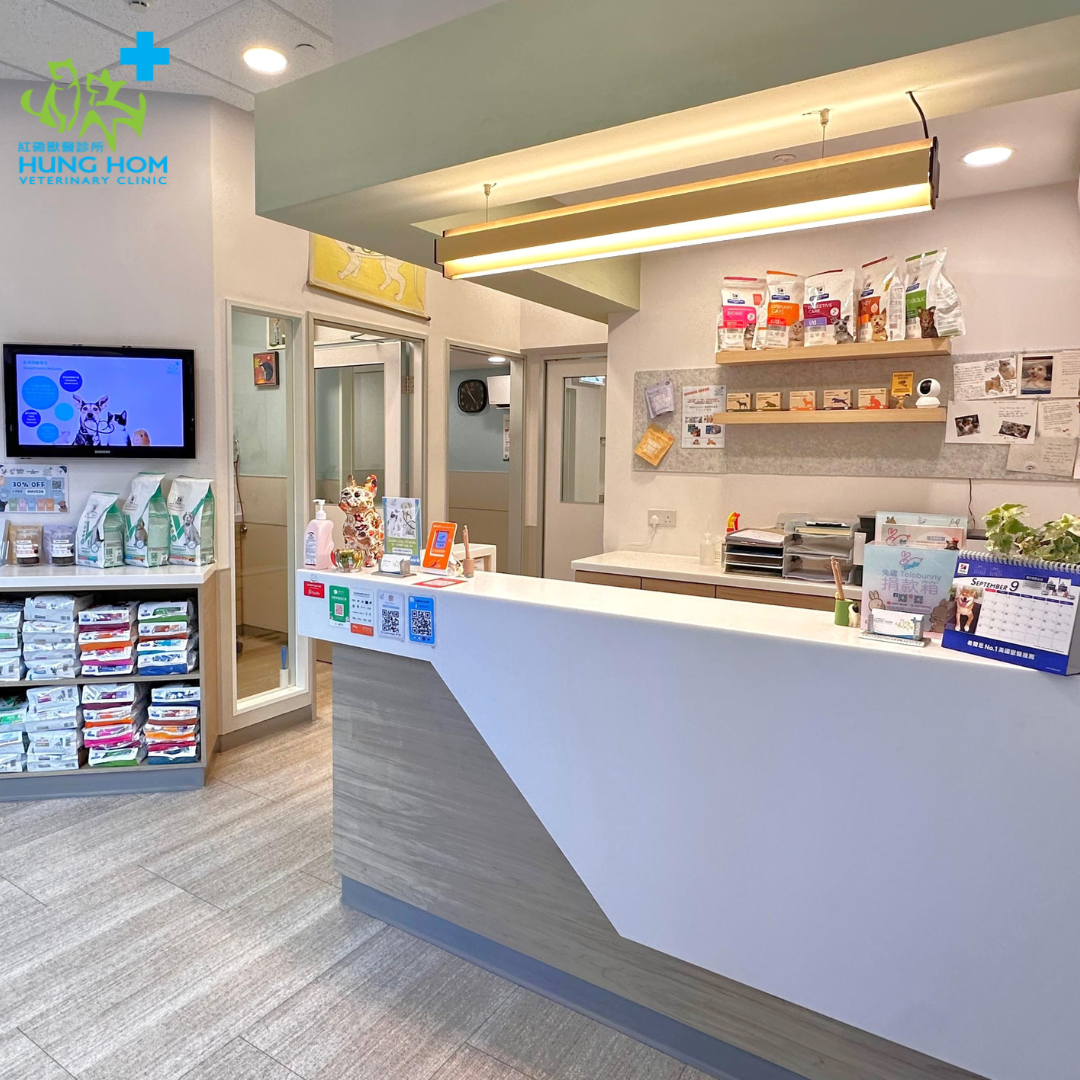 Hung Hom Veterinary Clinic Facebook ad: 紅磡獸醫診所服務包括狗 、貓 、兔子 、天竺鼠 、龍貓 和倉鼠