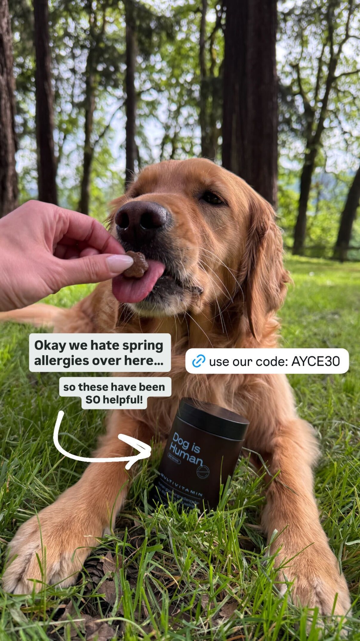 Dog is Human Facebook ad
