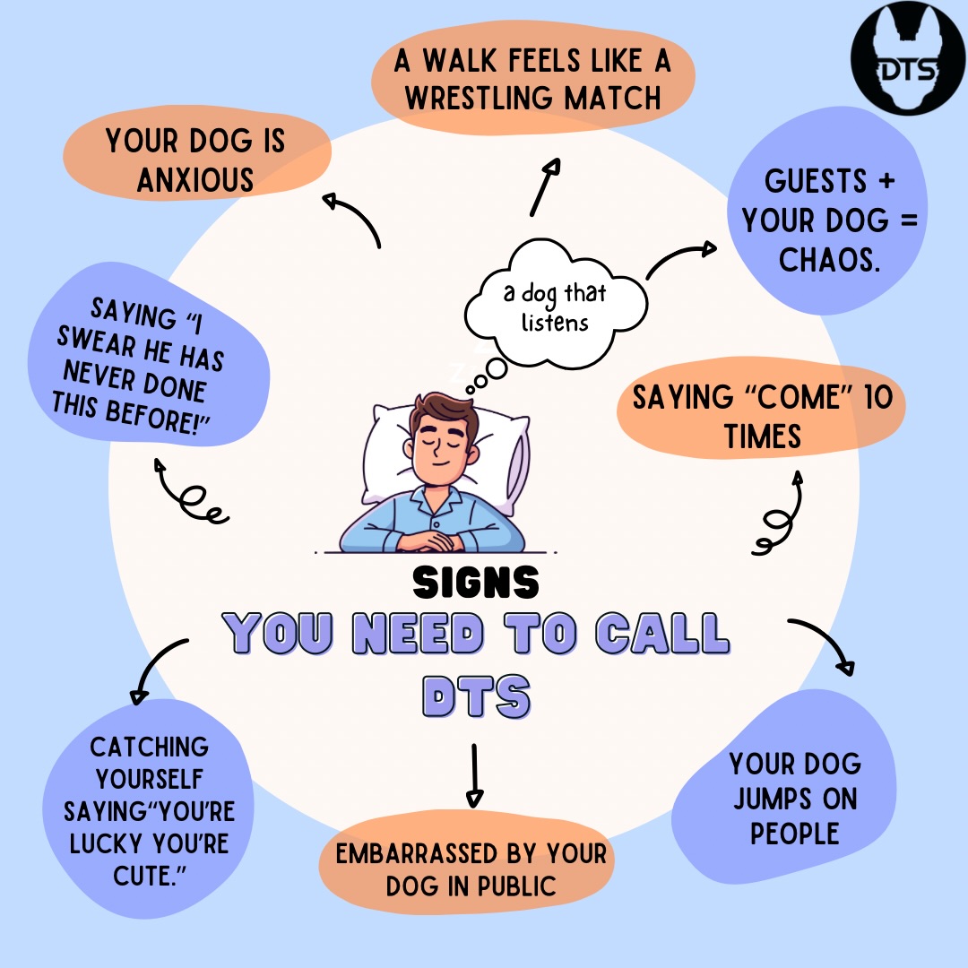 Dog Training Solution Facebook ad: Dog Training Solution - Affordable Lessons: In-Home…