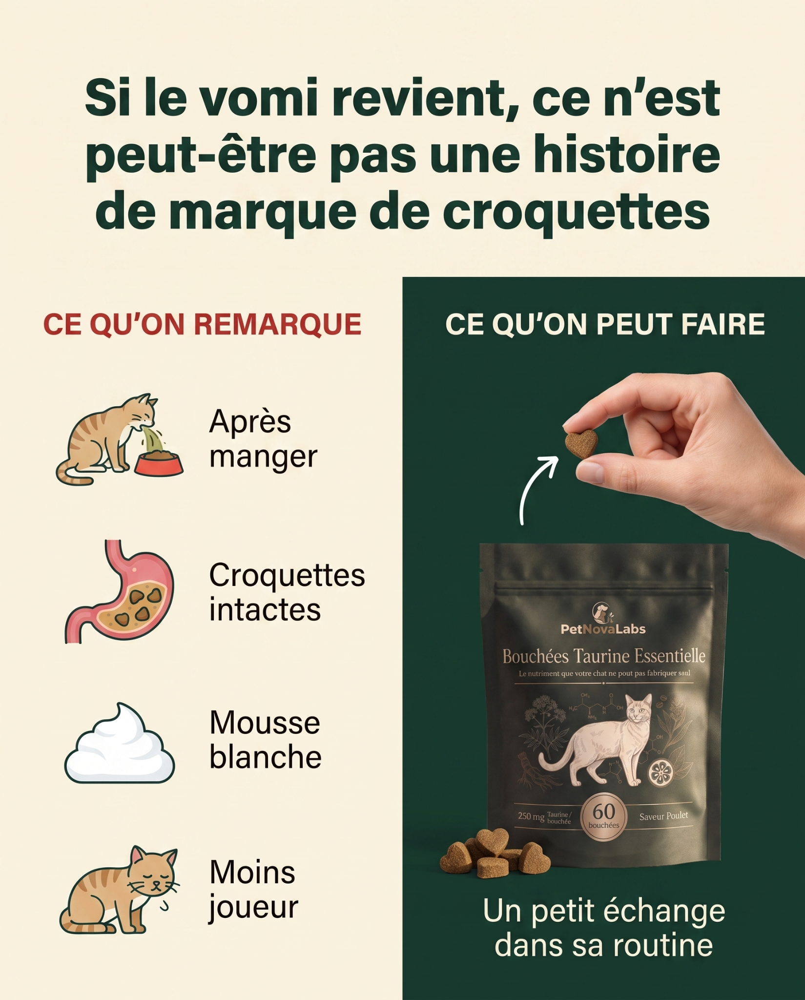 Sophie Martin Facebook ad: STOP: ne changez pas encore ses croquettes