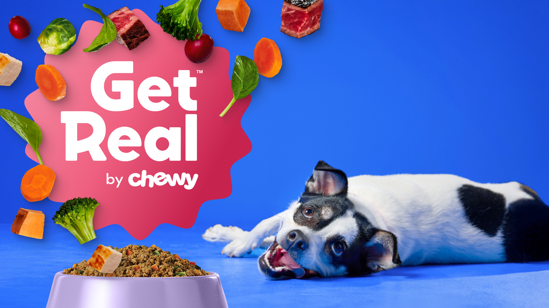 Chewy Facebook ad