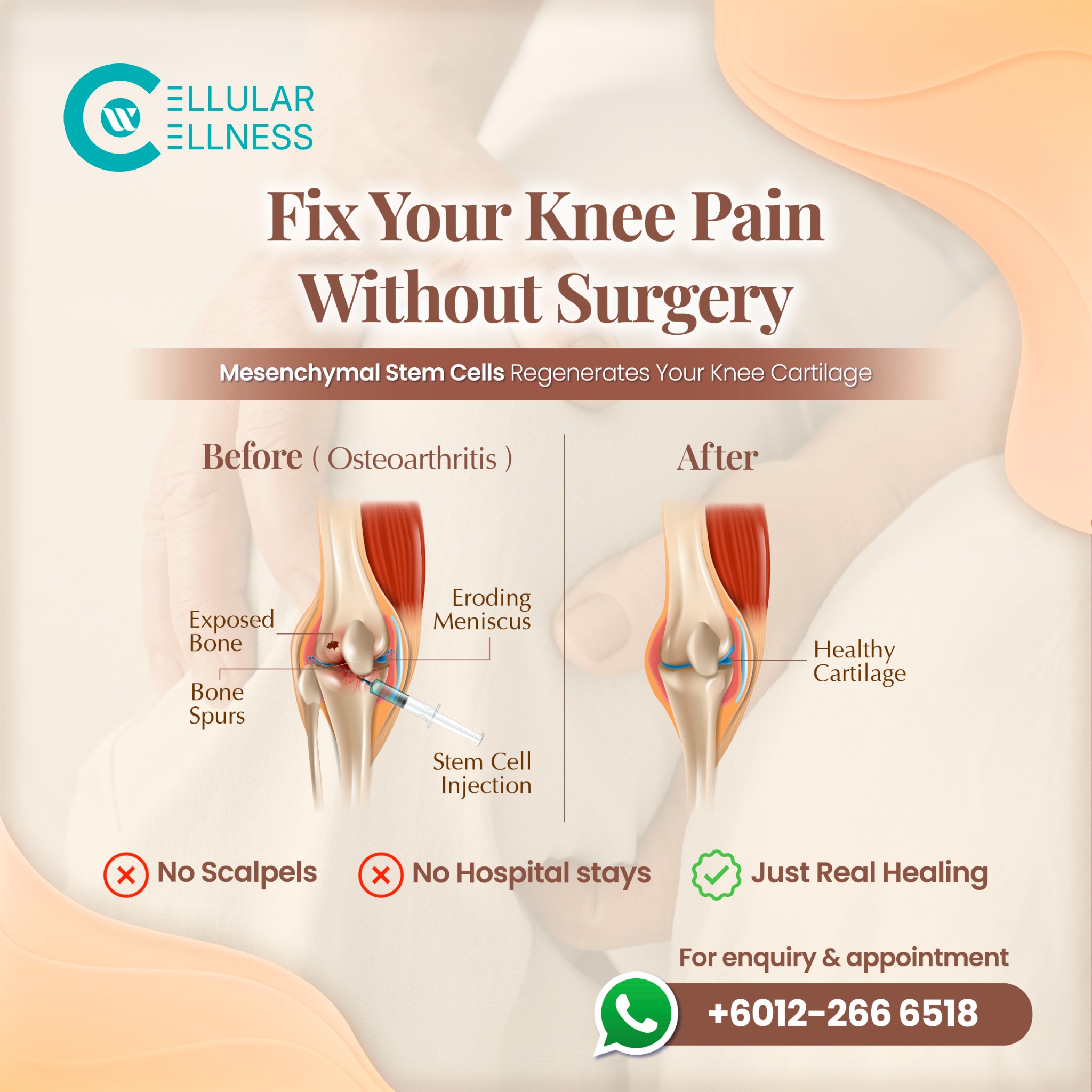 Cellular Wellness Co Facebook ad: Fix Your Knee Pain Now!