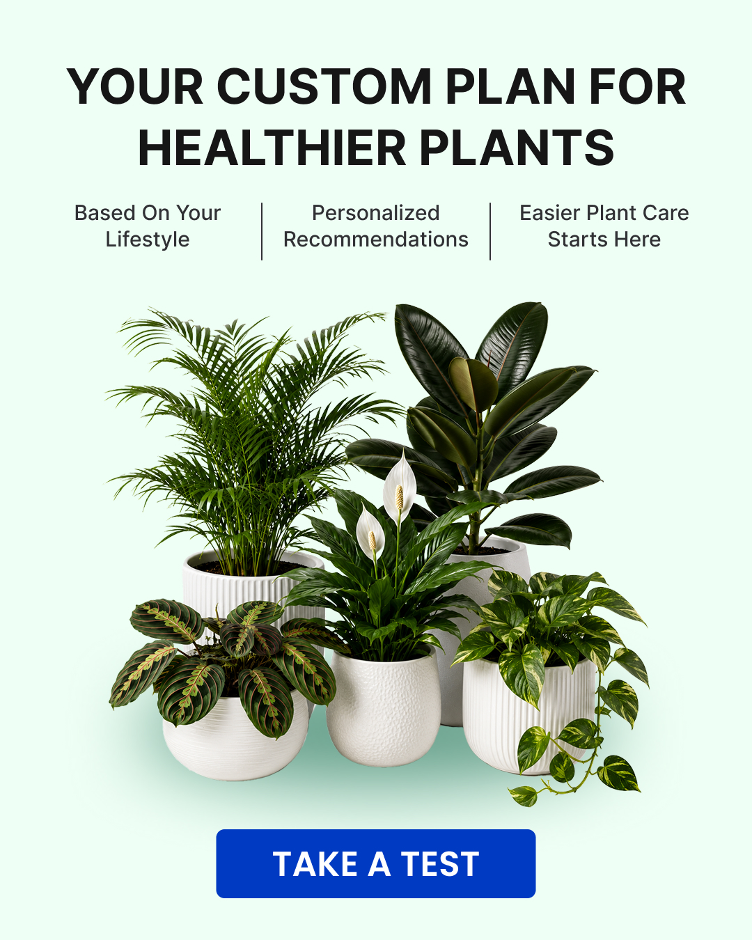 PlantIn AI: Never Kill Your Plants Facebook ad from May 25, 2026