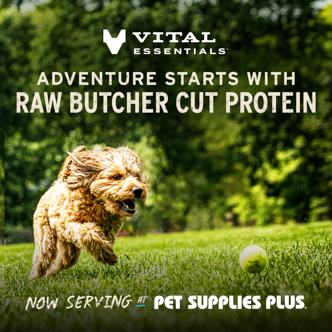Vital Essentials Facebook ad: Better nutrition shows up everywhere.