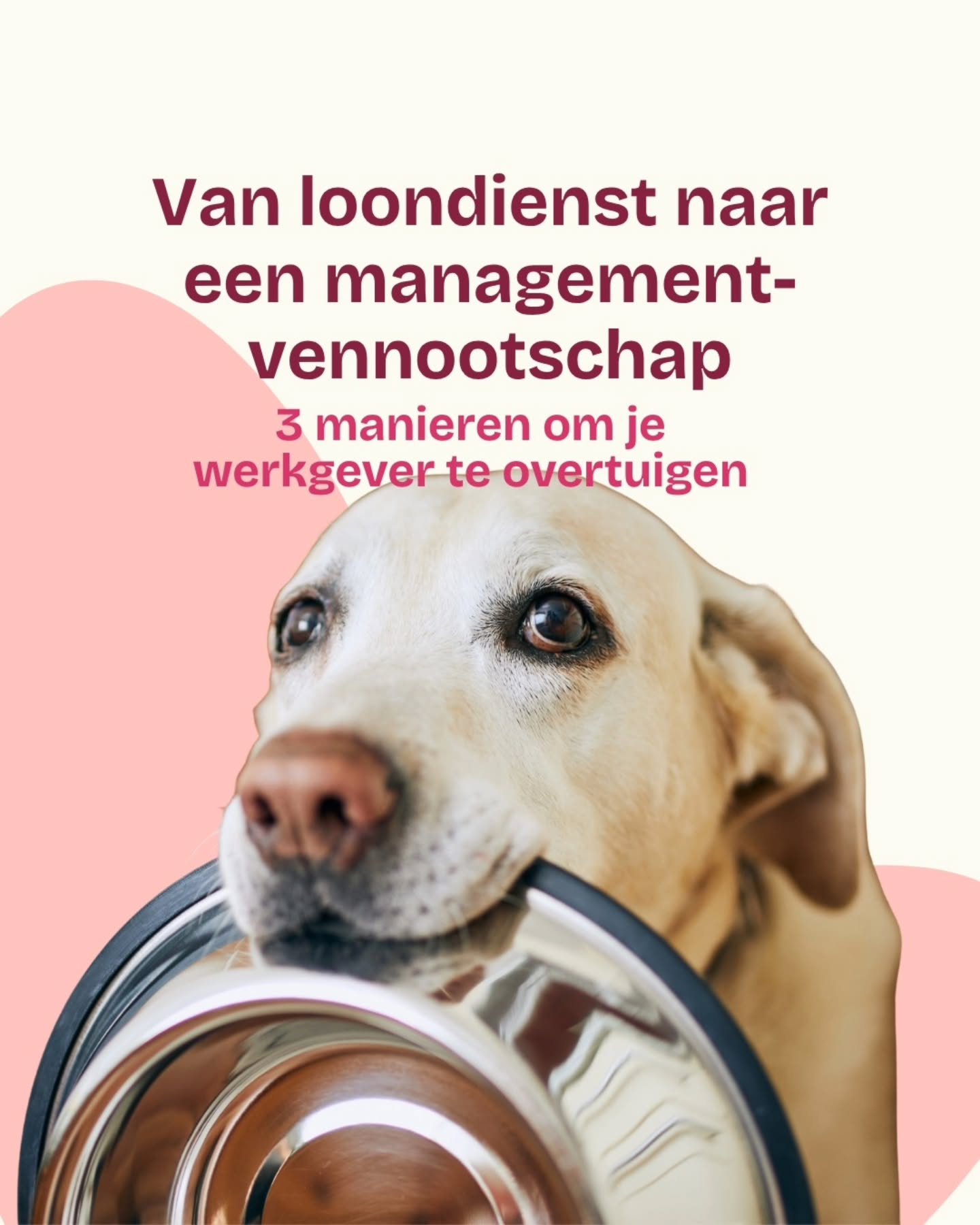 Die van de boekhouding Facebook ad