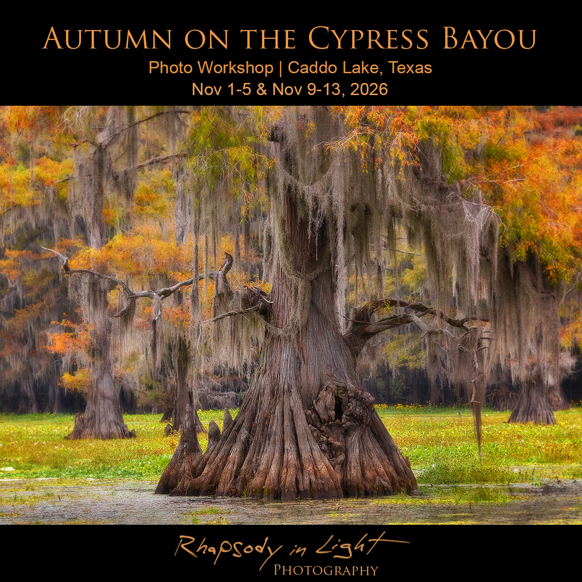 Rhapsody in Light Photo Workshops by Joseph Thomas Facebook ad: Join us for Autumn on the Cypress Bayou…