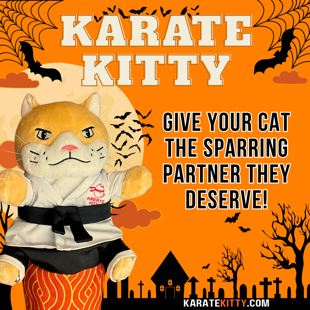 Karate Kitty Facebook ad