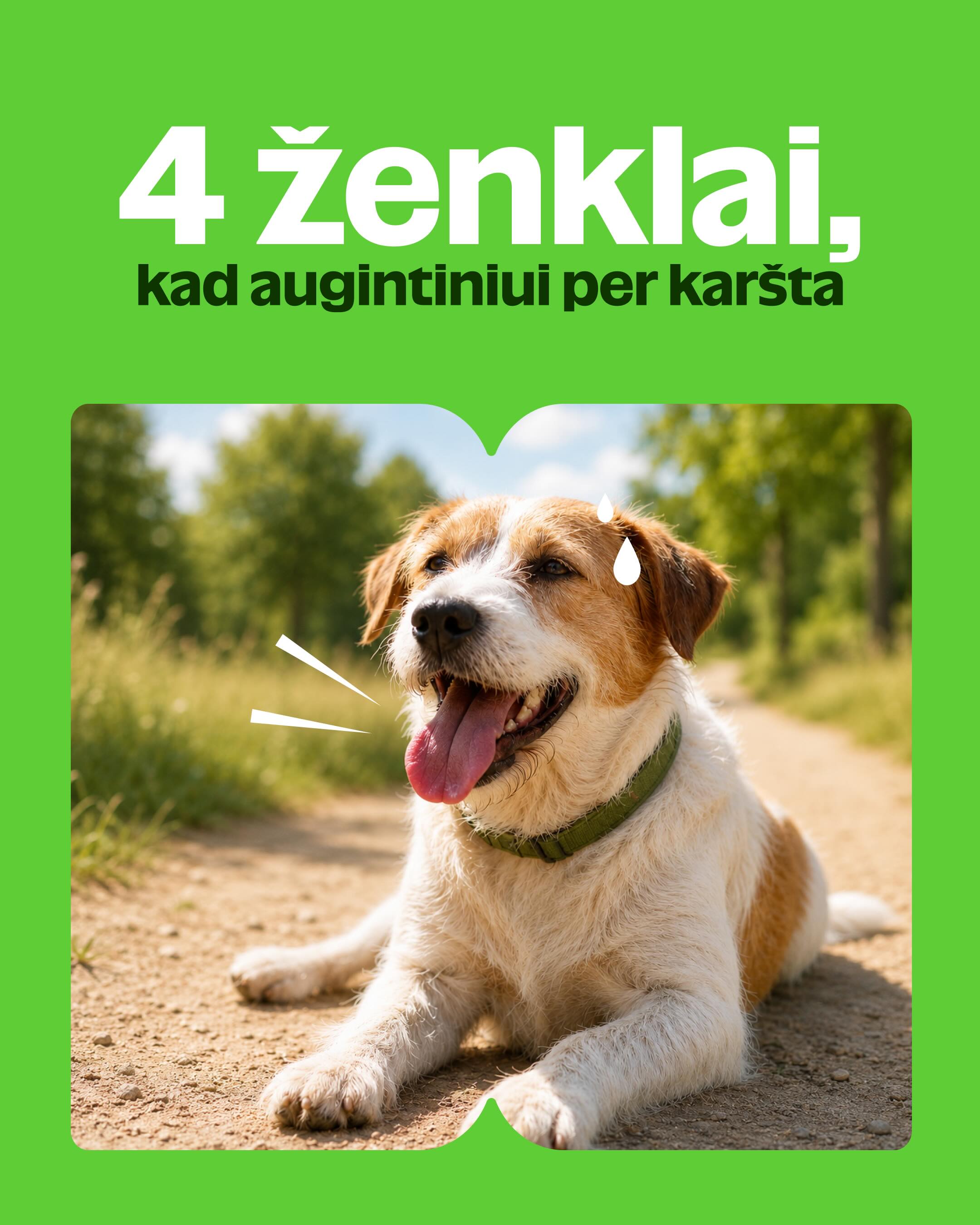 KIKA Facebook ad