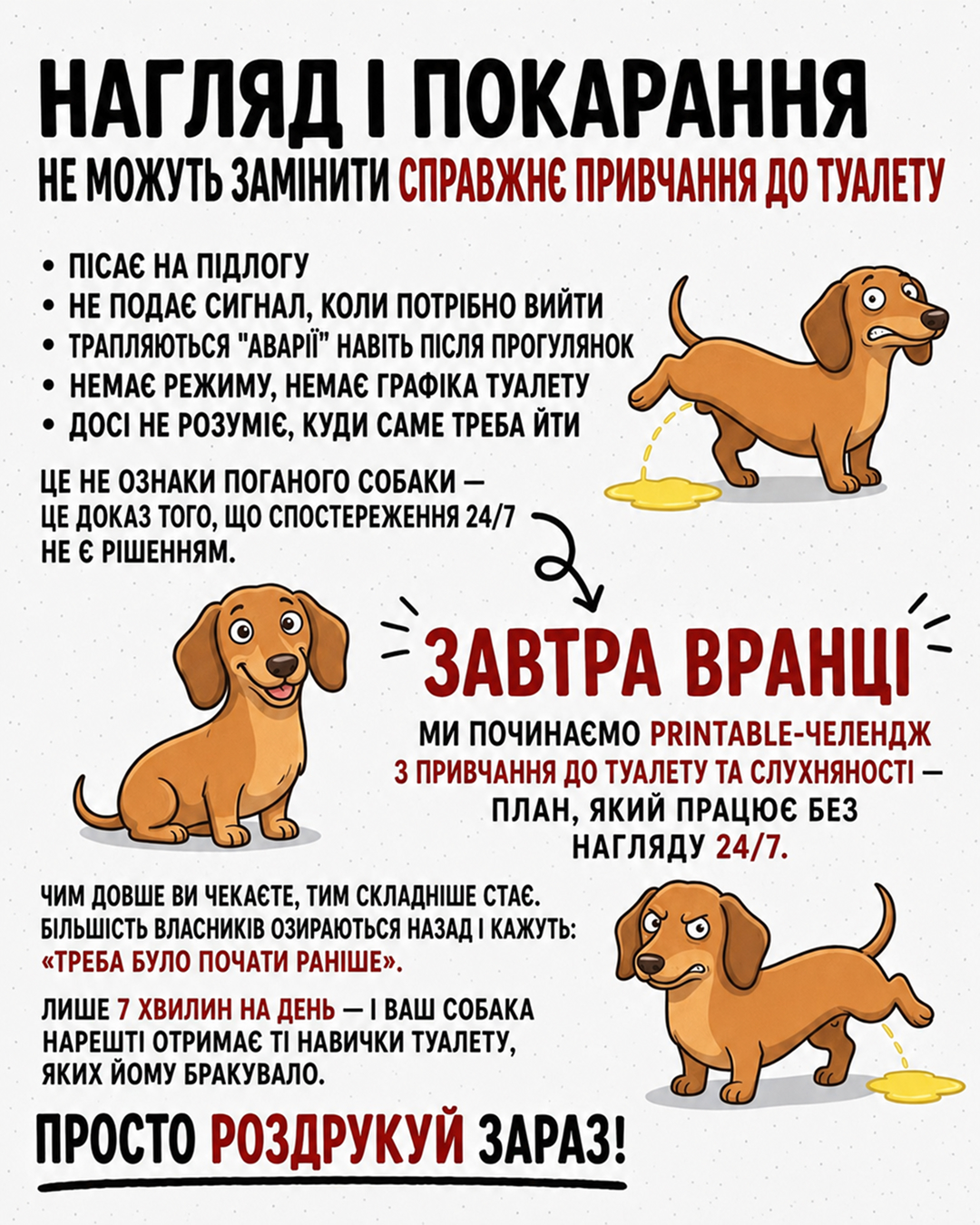 Ben Your Puppy Trainer Facebook ad