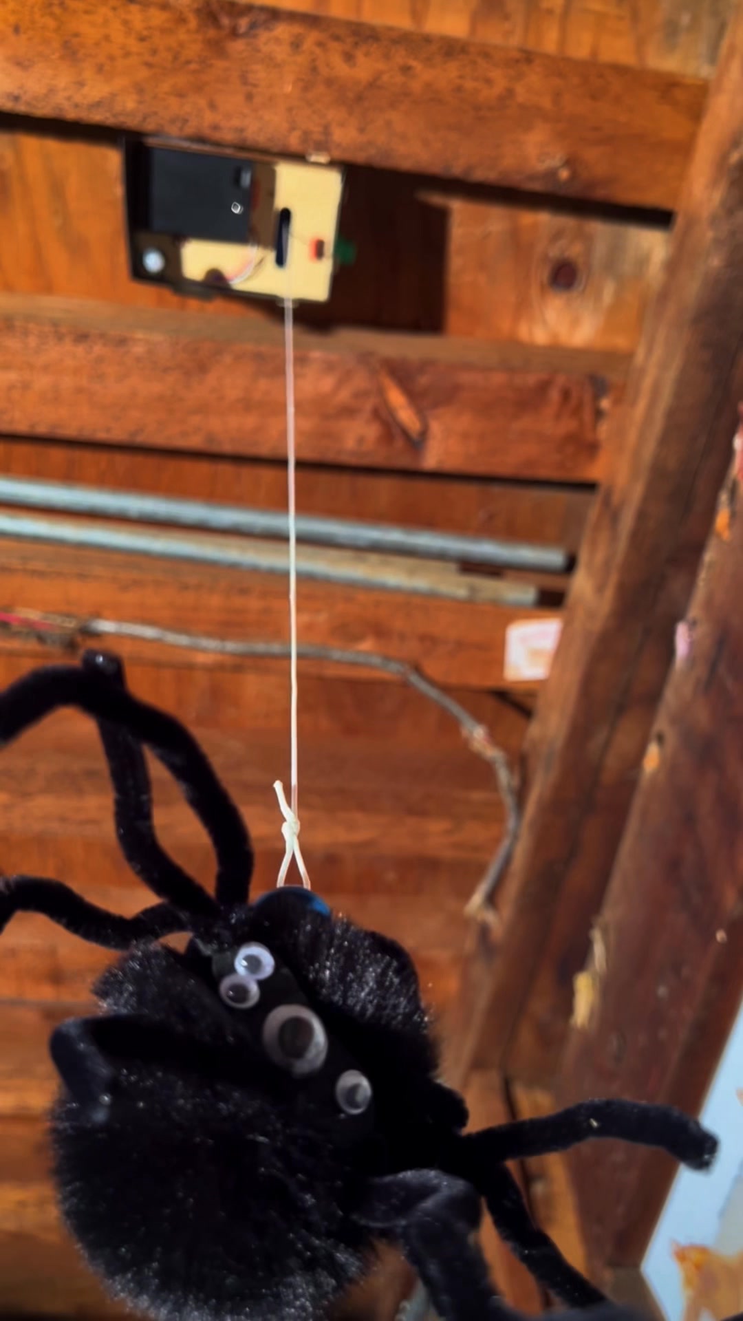 KiwiCo Facebook ad: Motion-Sensing Spider