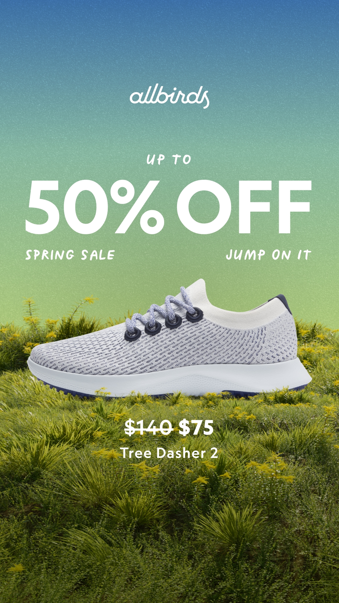 Allbirds Facebook ad