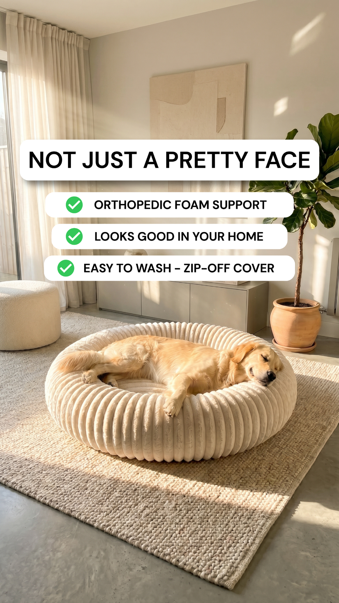 Pawernt Patrol Facebook ad