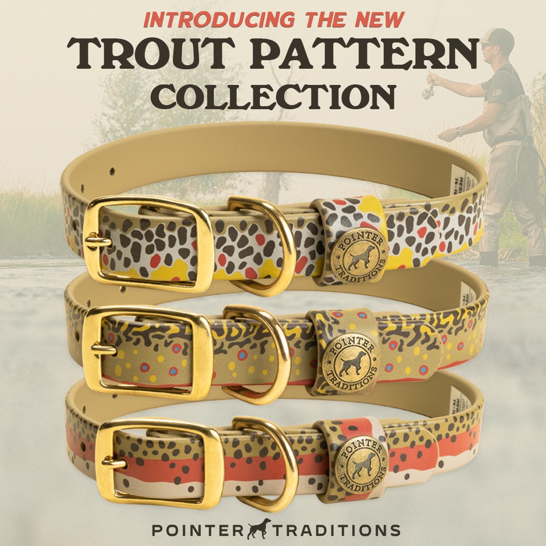 Pointer Traditions Facebook ad: Your dog deserves this collar.